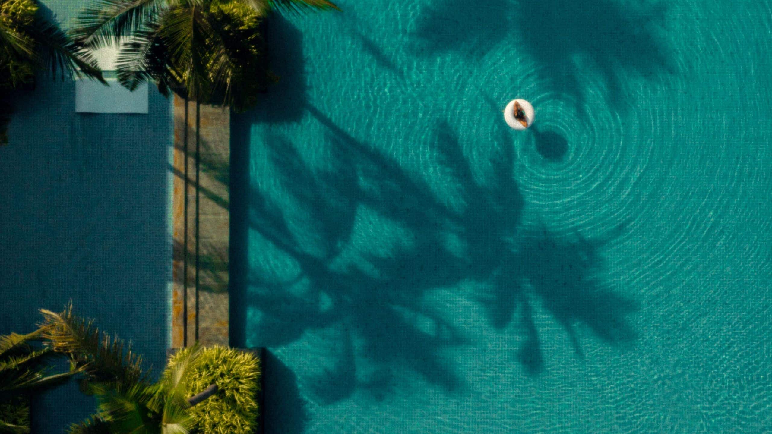 Alila Diwa Goa Infinity Pool Guest