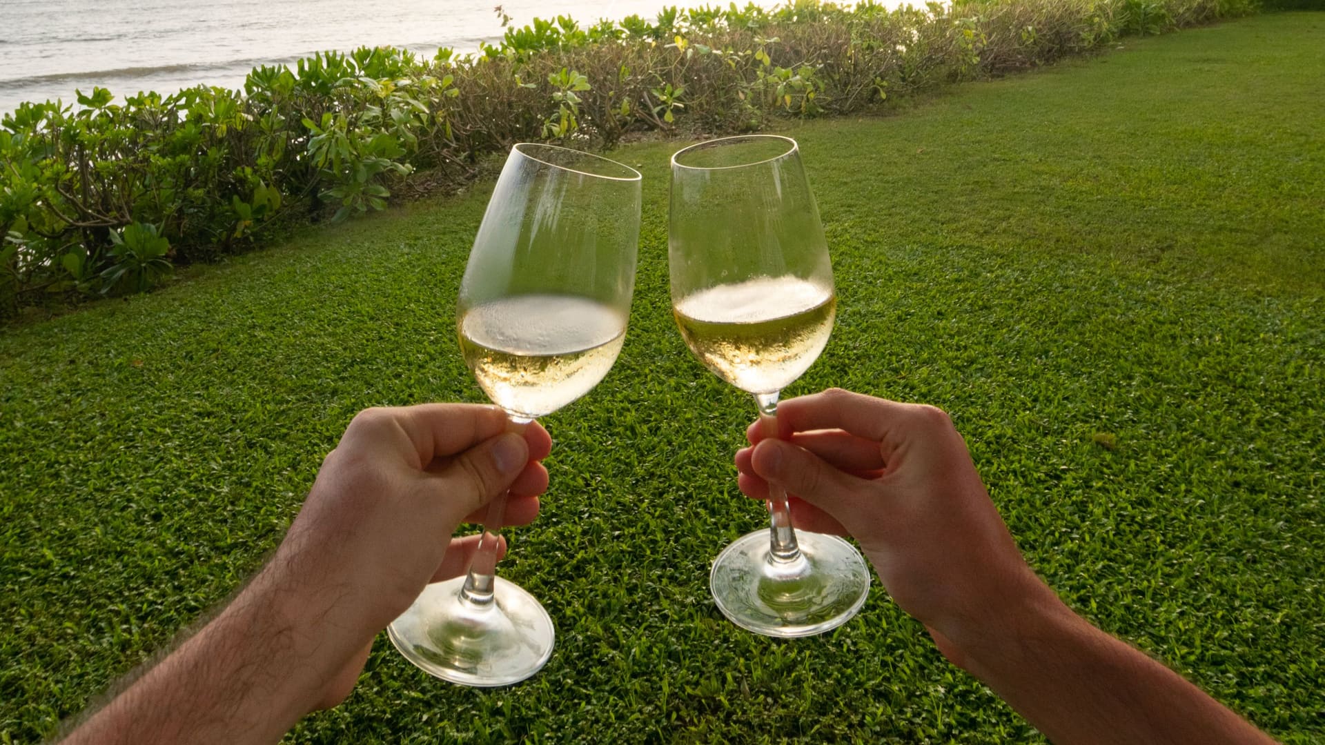 Grand Hyatt Goa Wine Glass