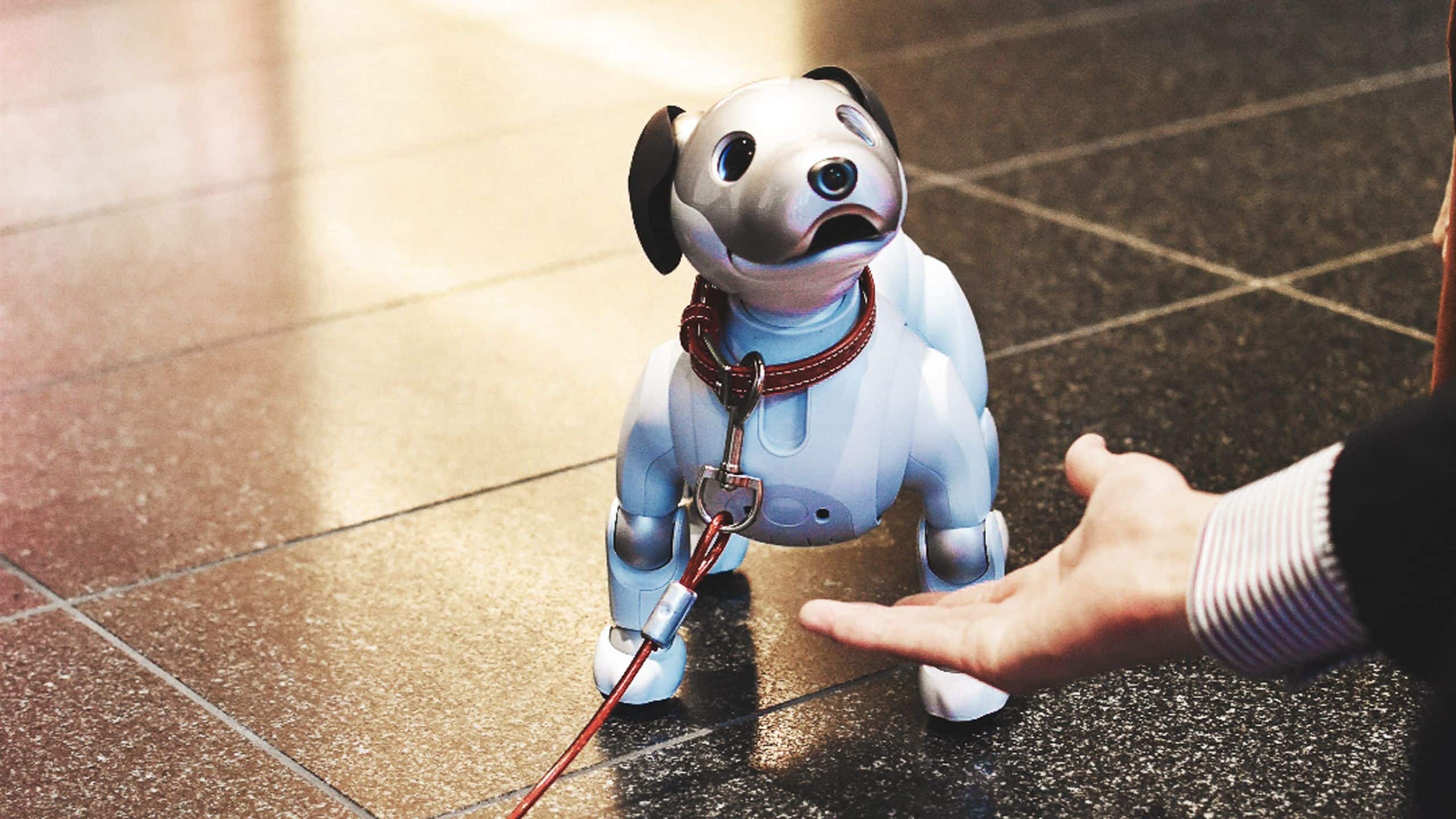 Hyatt Centric Ginza Tokyo Lobby Aibo