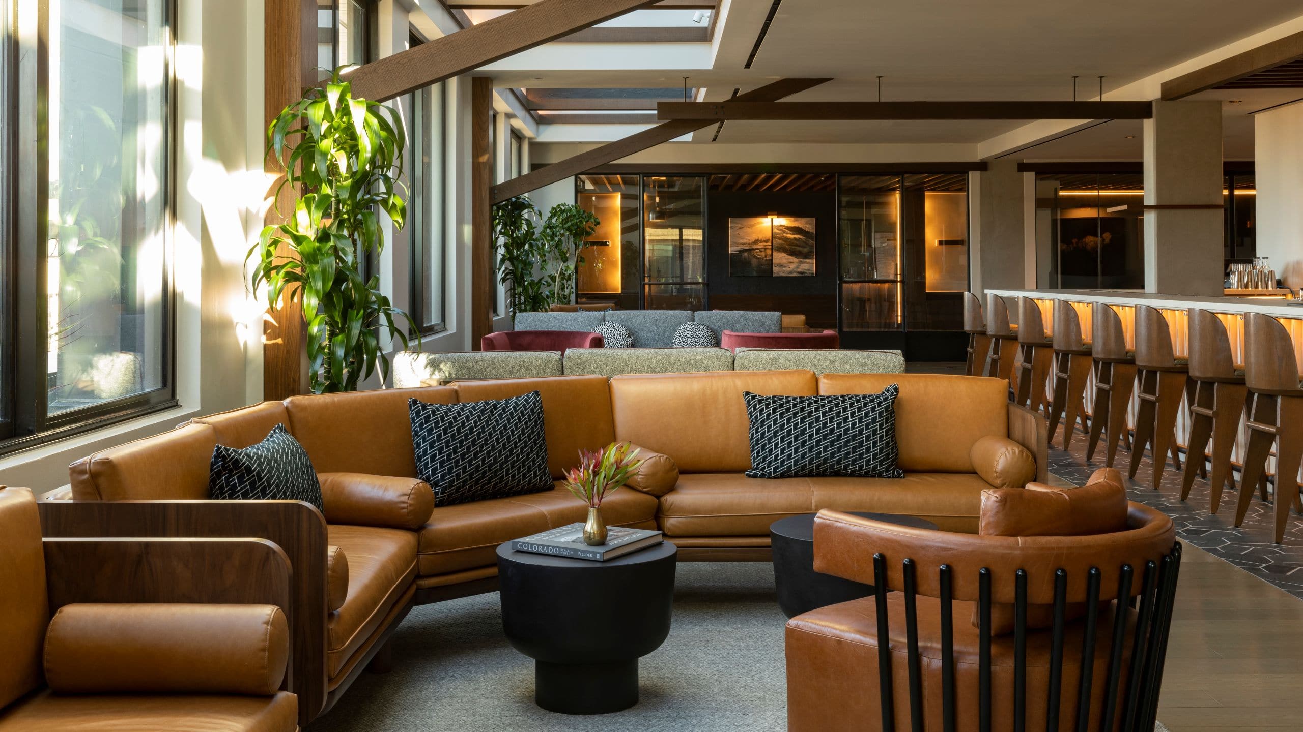 Thompson Denver Reynard Social