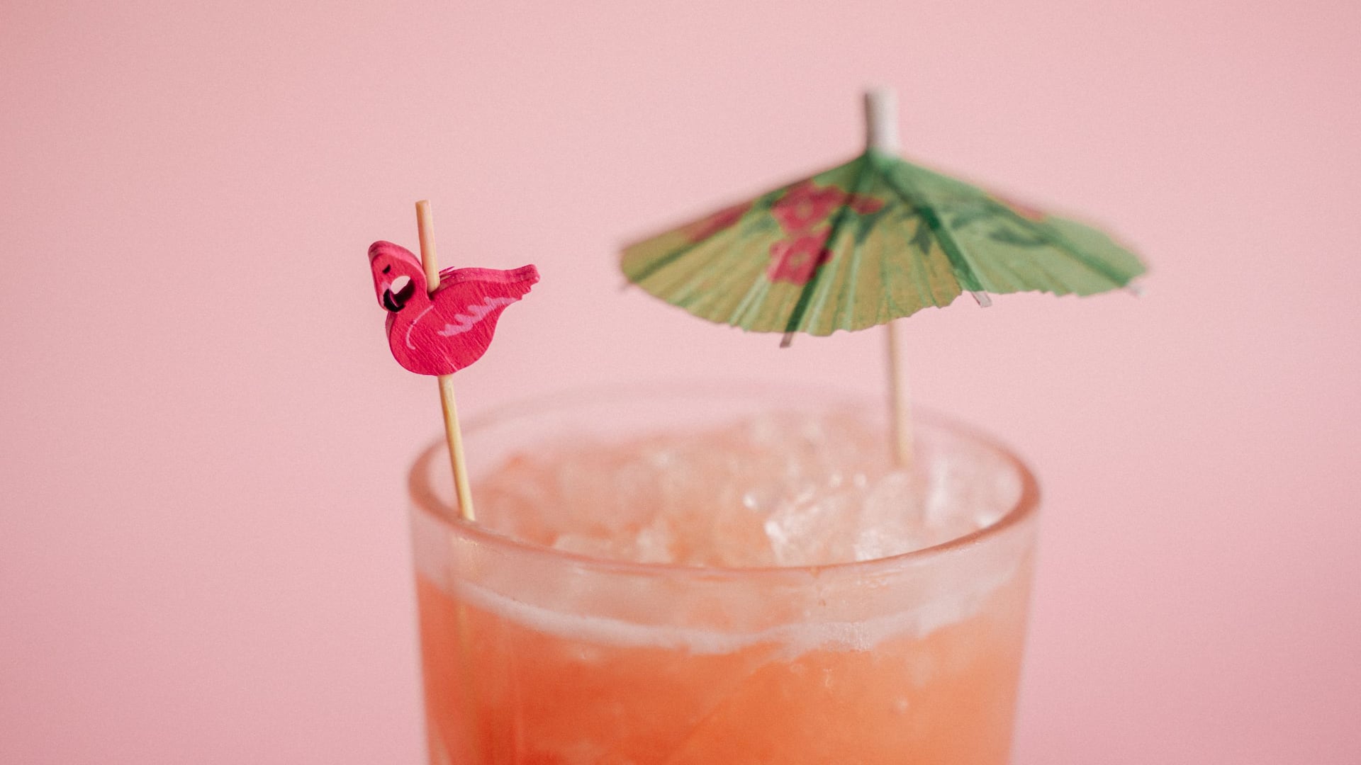 Hyatt Regency Grand Cypress Flamingo Cocktail