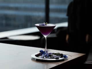 Hyatt Centric Kanazawa Roofterrace Bar Purple Cocktail Drink