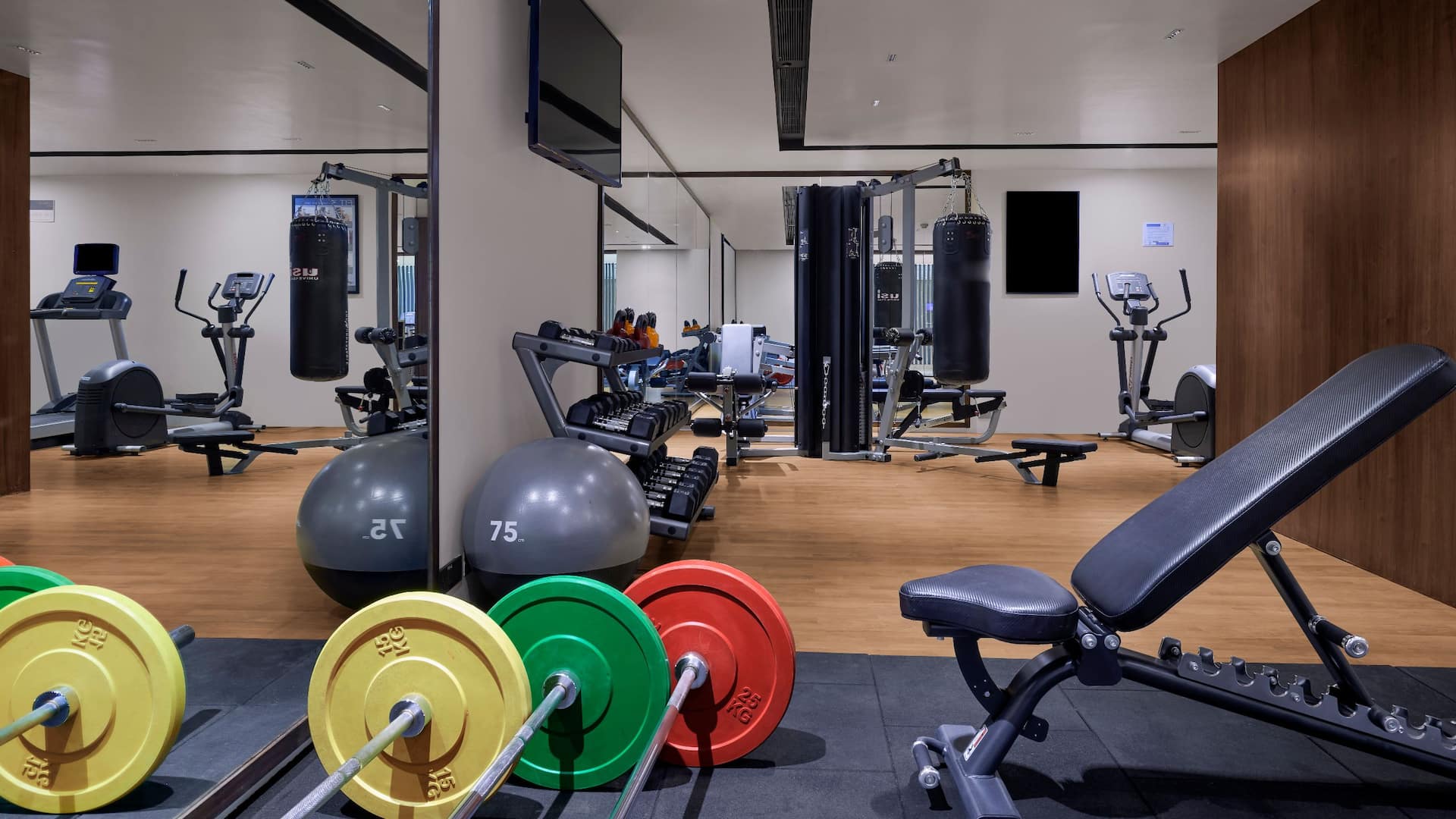 Hyatt Place Vadodara Gym Equipment