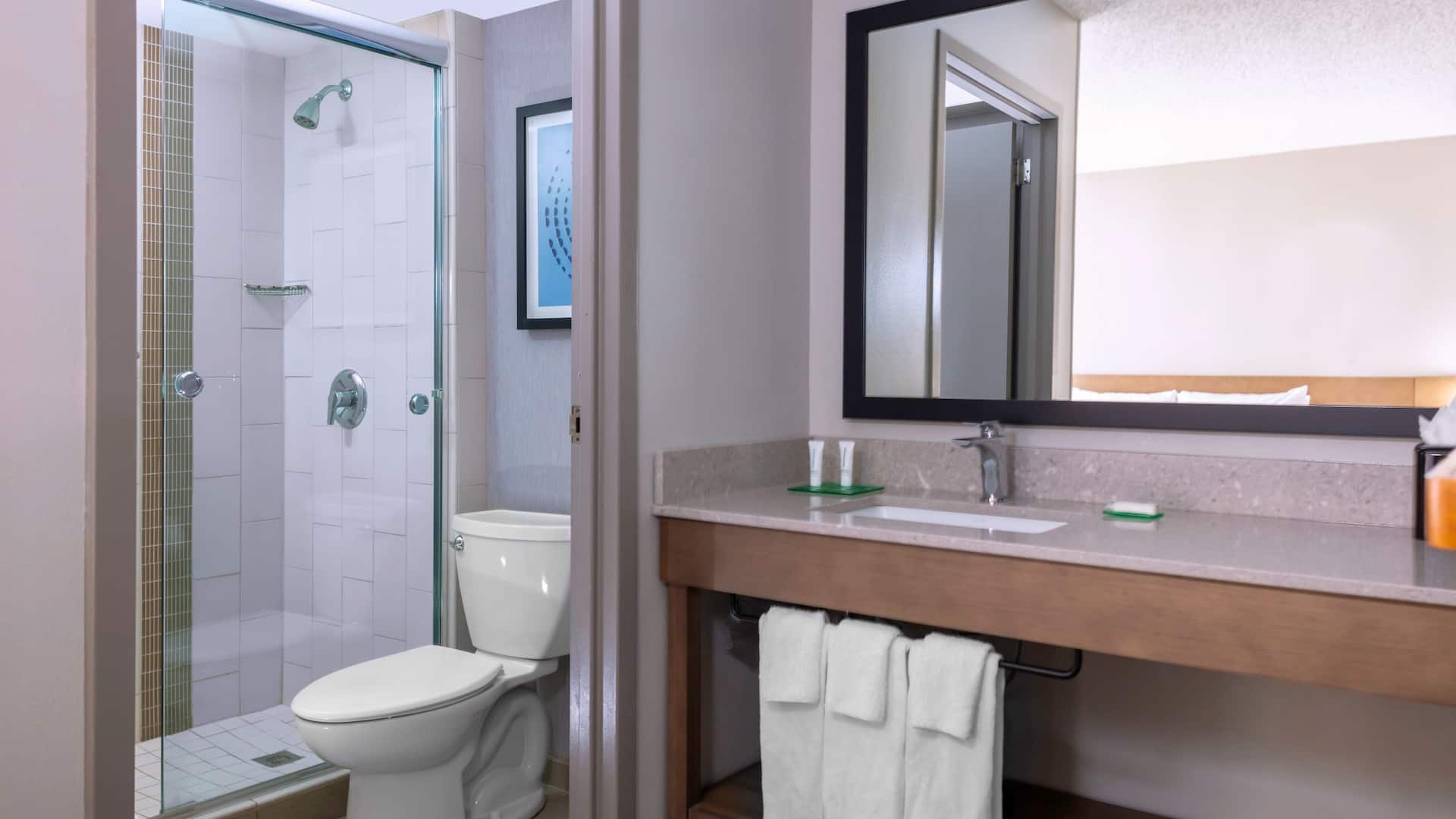 4 of 4 Hyatt Place Dallas/Arlington King Bathroom