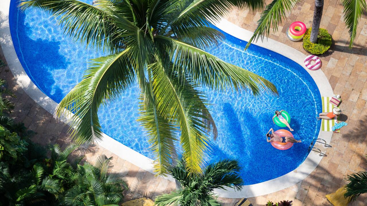 Escape to a Vibrant World Escape to a Vibrant World