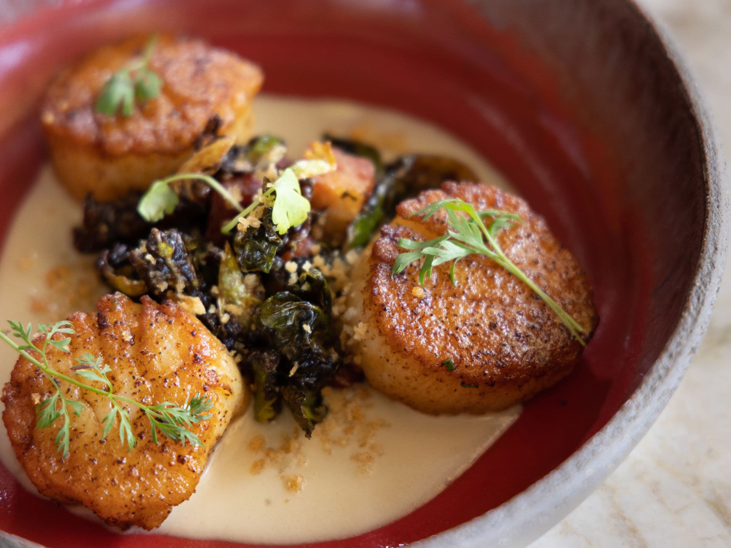 Andaz Scottsdale Resort & Bungalows Scallops Close