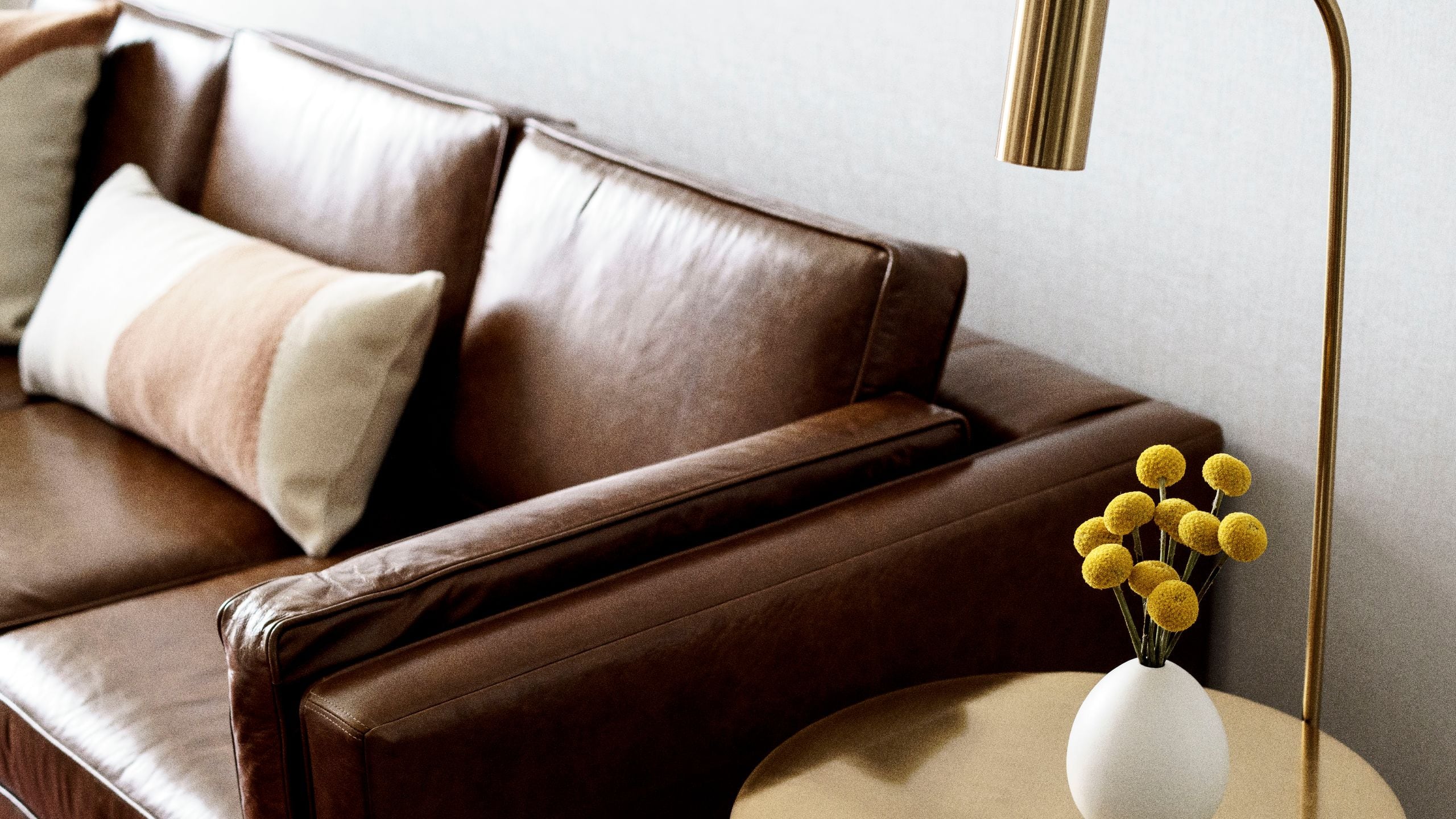 Hyatt Centric Buckhead Atlanta Buckhead Suite Sofa