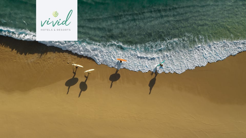 Aerial view of surfers