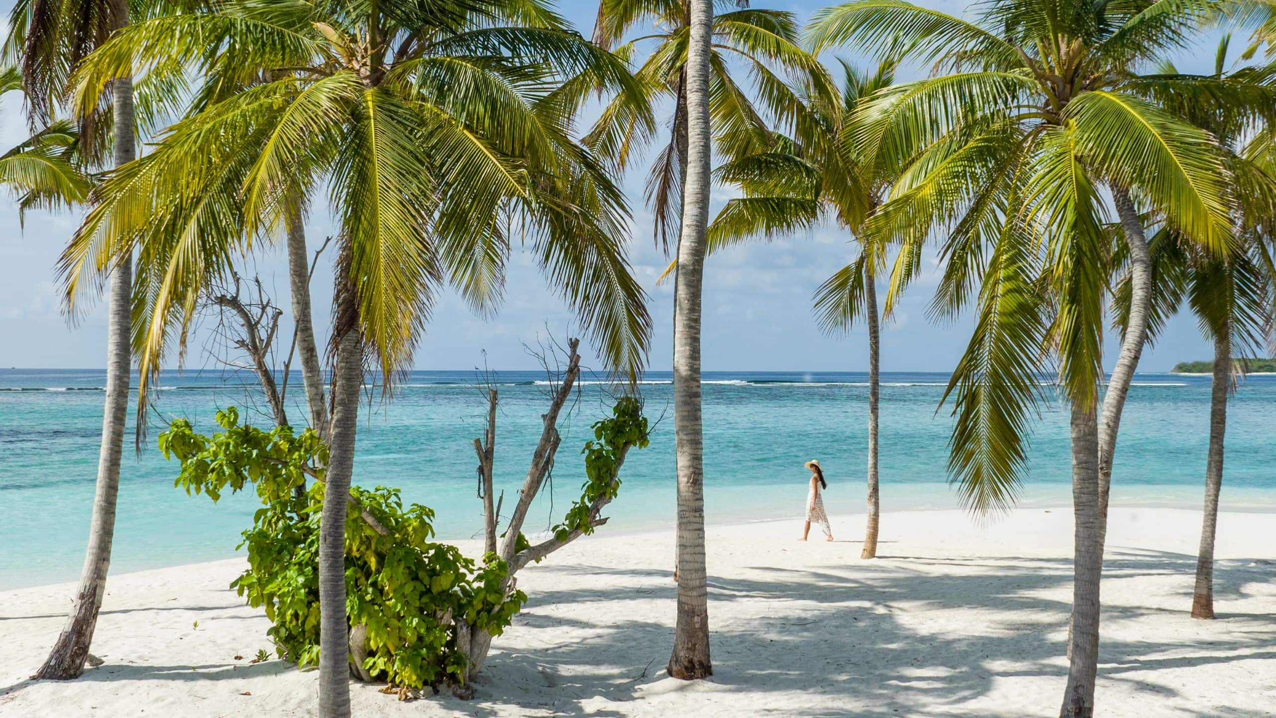 Alila Kothaifaru Maldives Beach Daytime Walk
