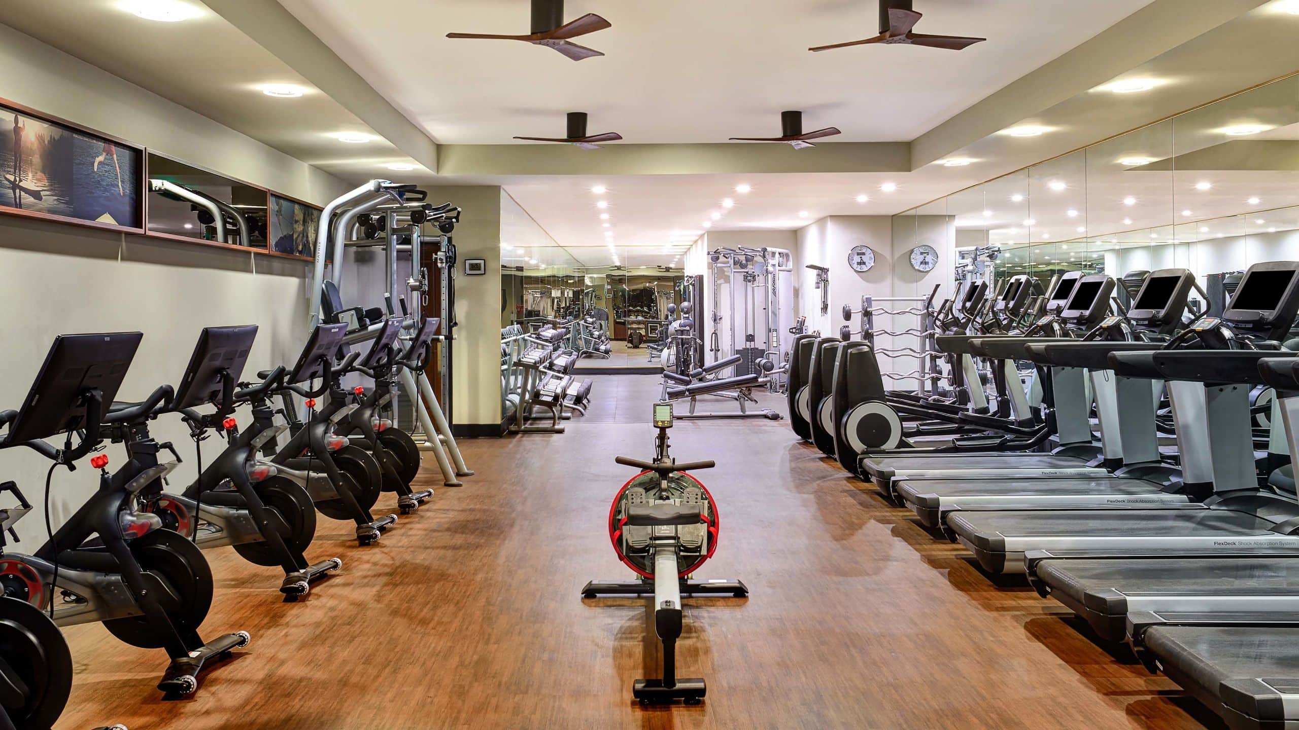 Gym