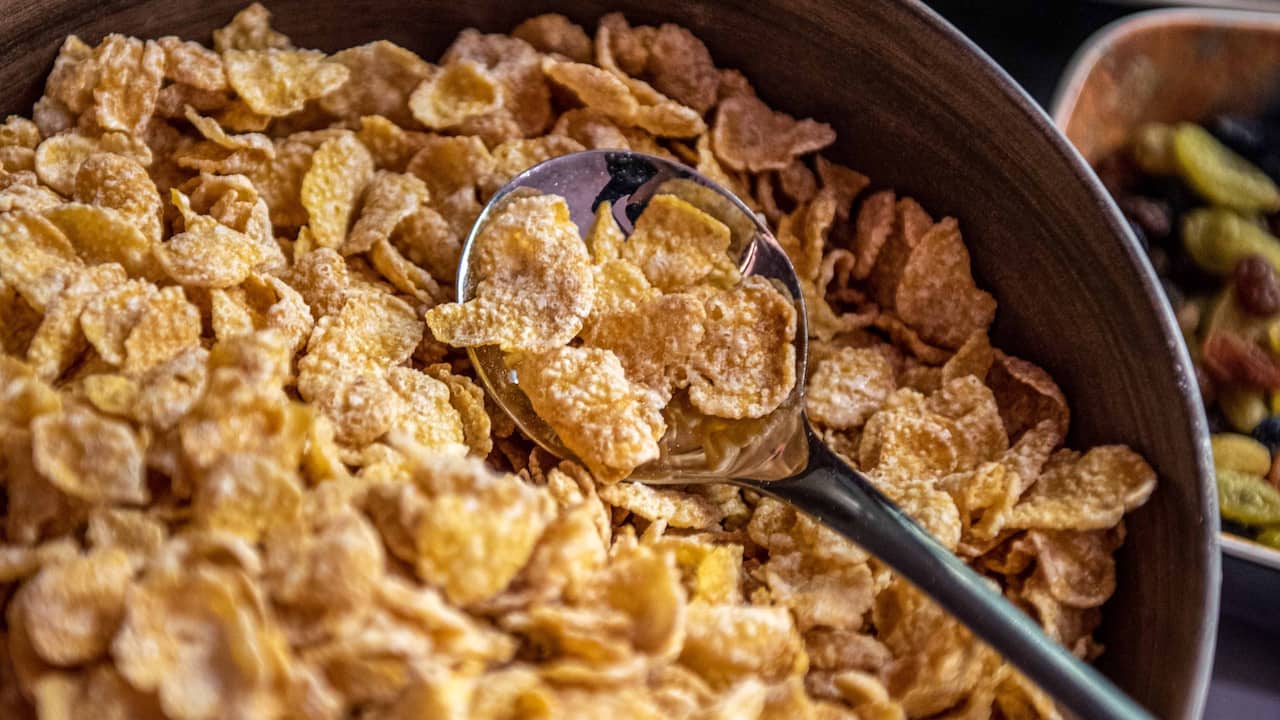 Oat Cereal