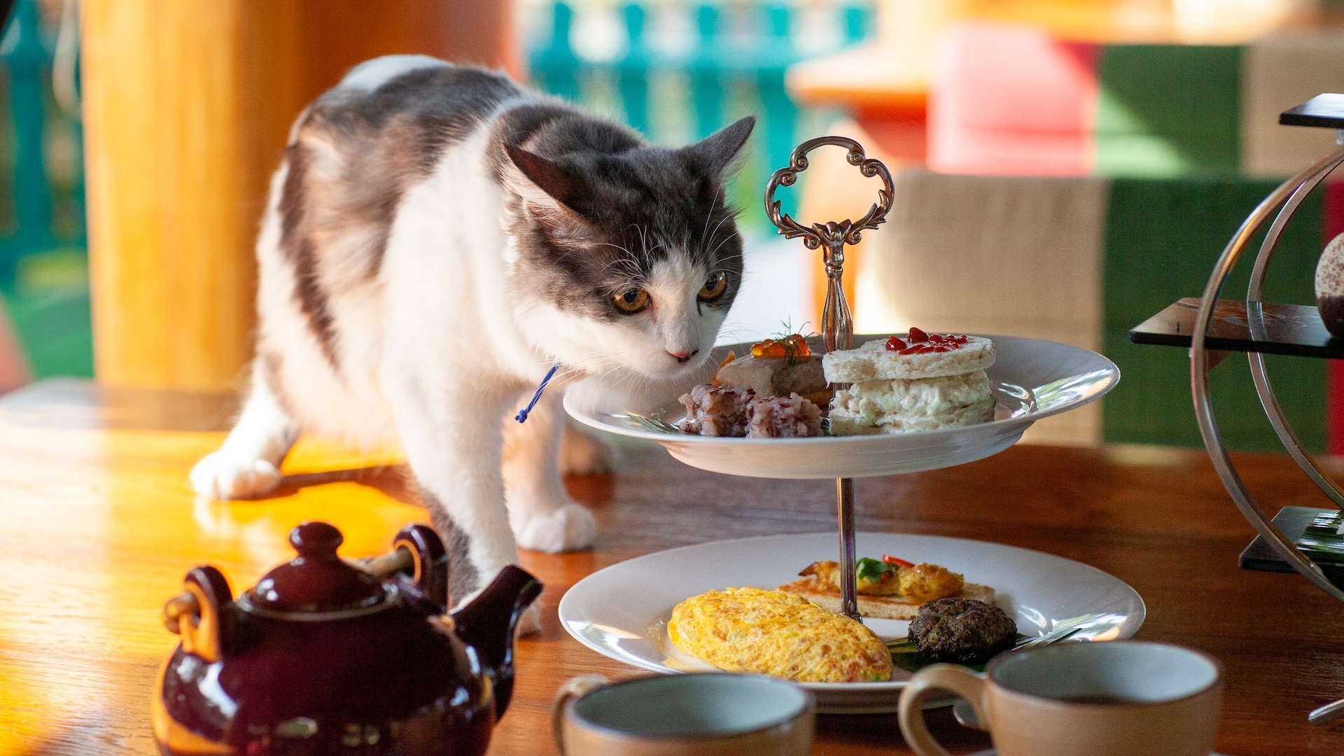 Hyatt Regency Hua Hin Cat And Afternoon Tea