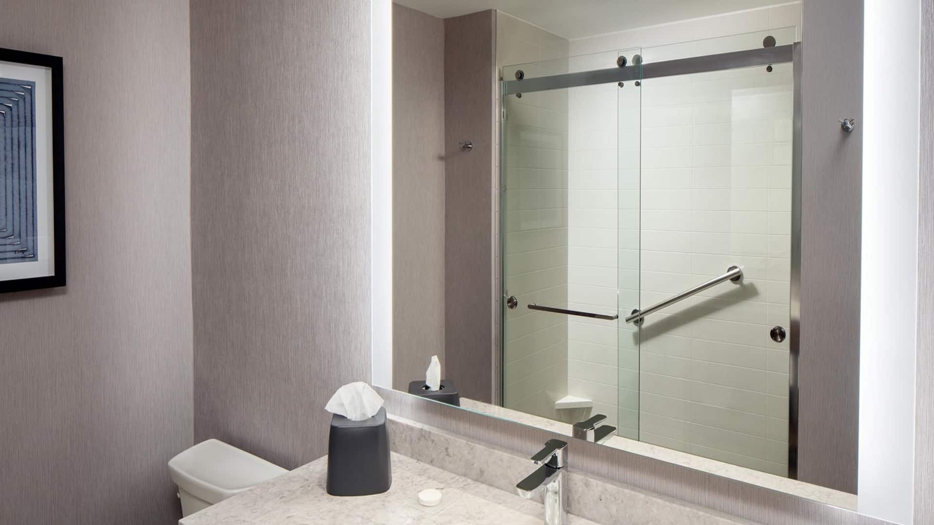 第 3，共 3 Hyatt Place Harrisonburg Standard Bathroom Shower