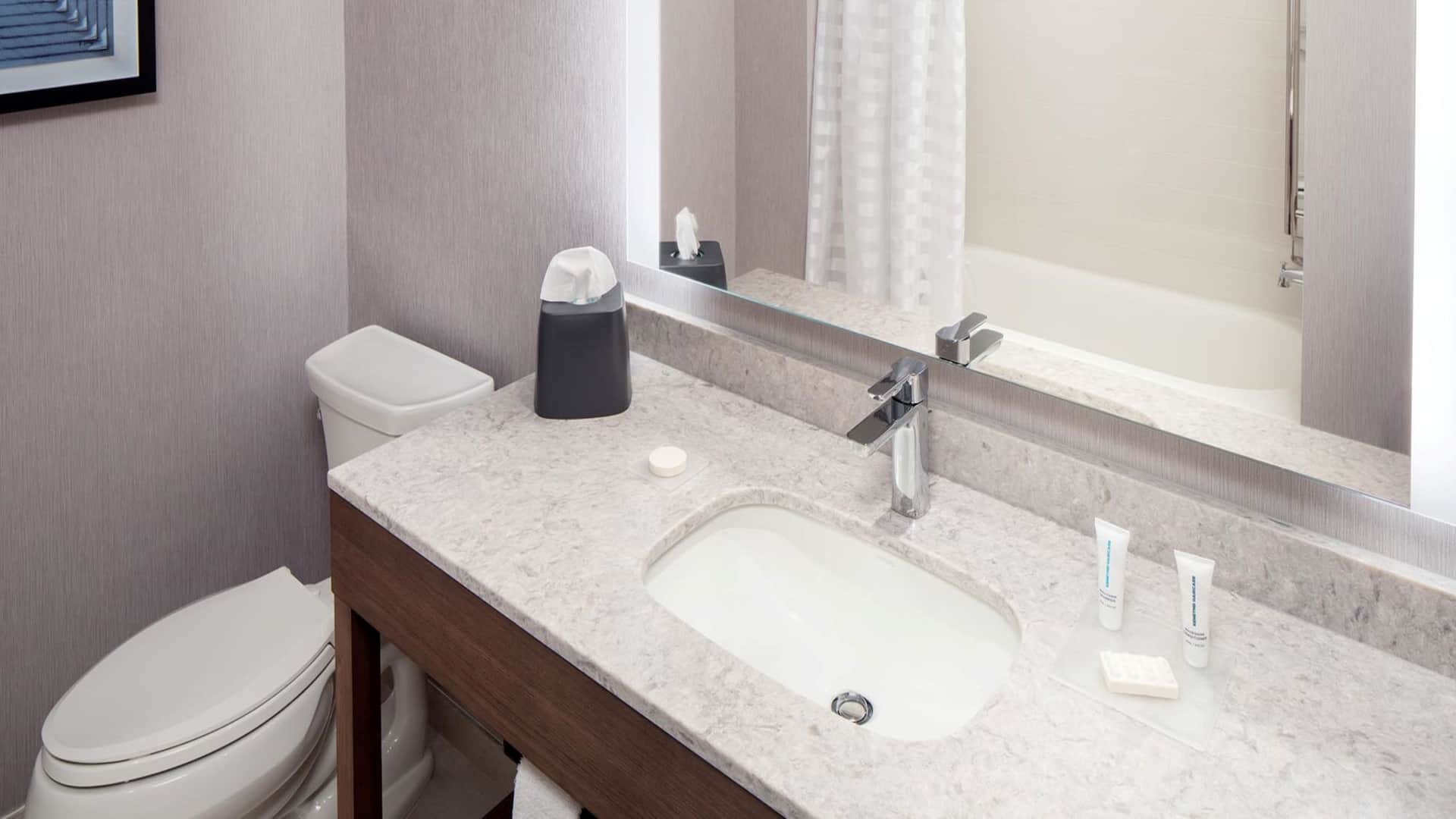第 2，共 3 Hyatt Place Harrisonburg Standard Bathroom Tub