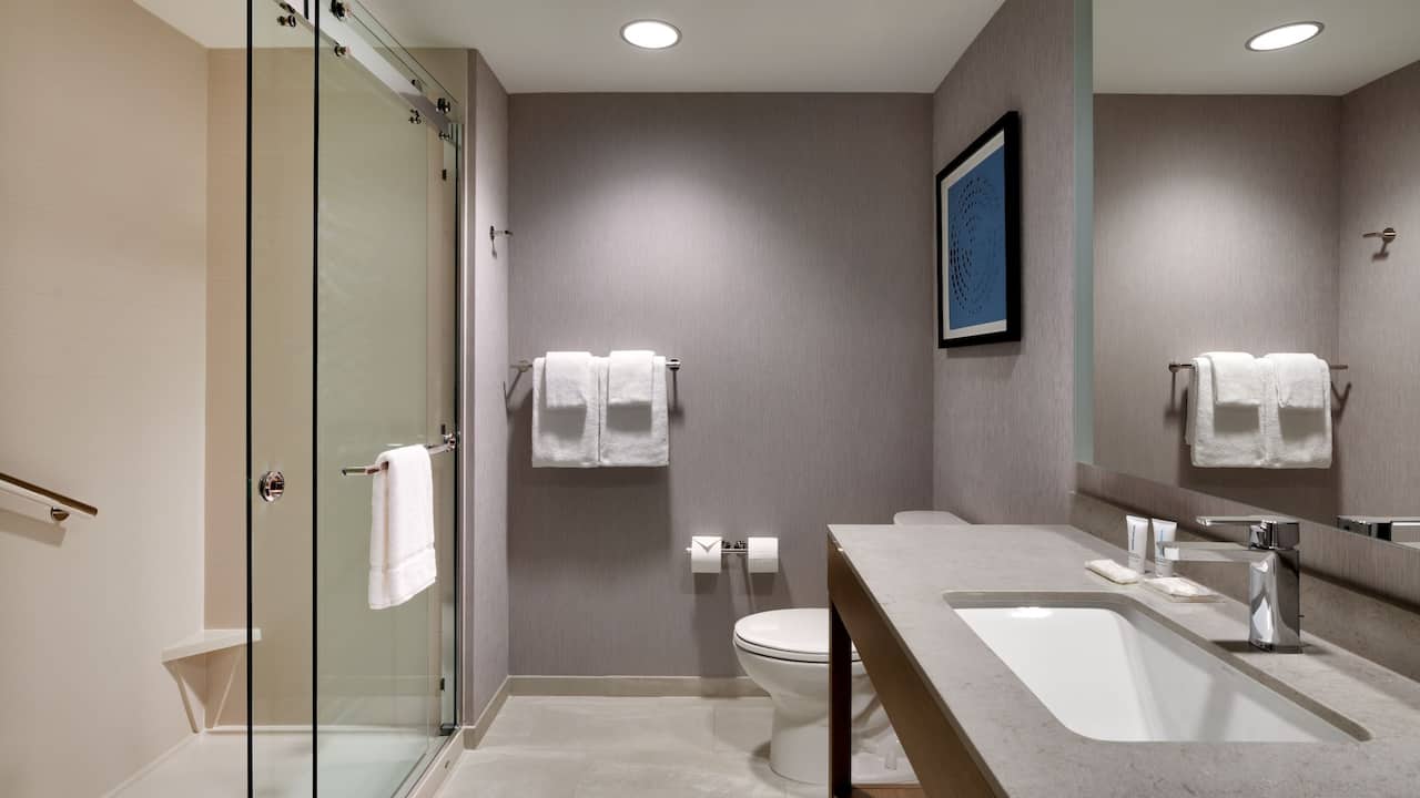 Guestroom Bathroom Shower