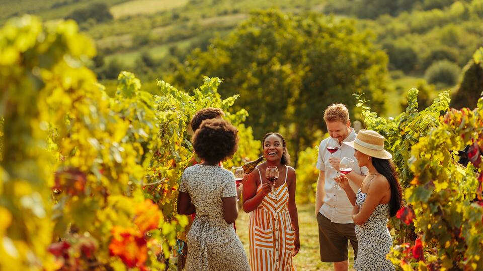 From Hyatt Vineyard