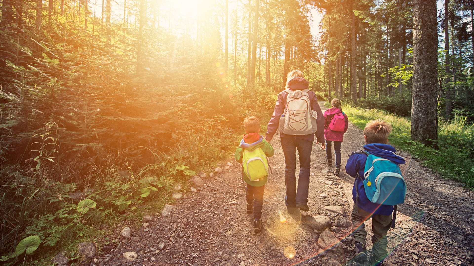 Hyatt HouseHyatt Place Family Hike In Woods