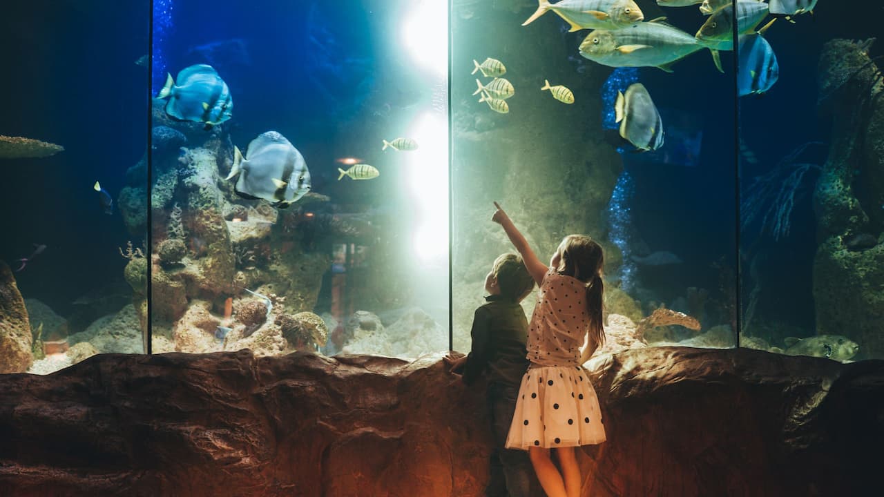 kids aquarium