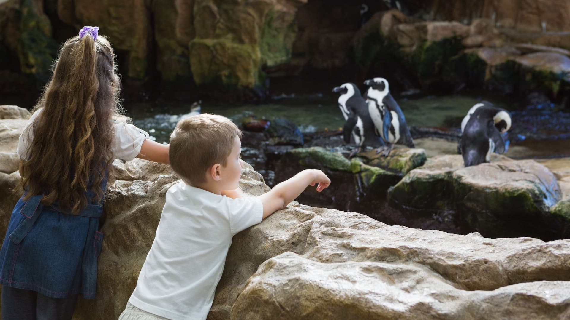 Children marvel at penguins