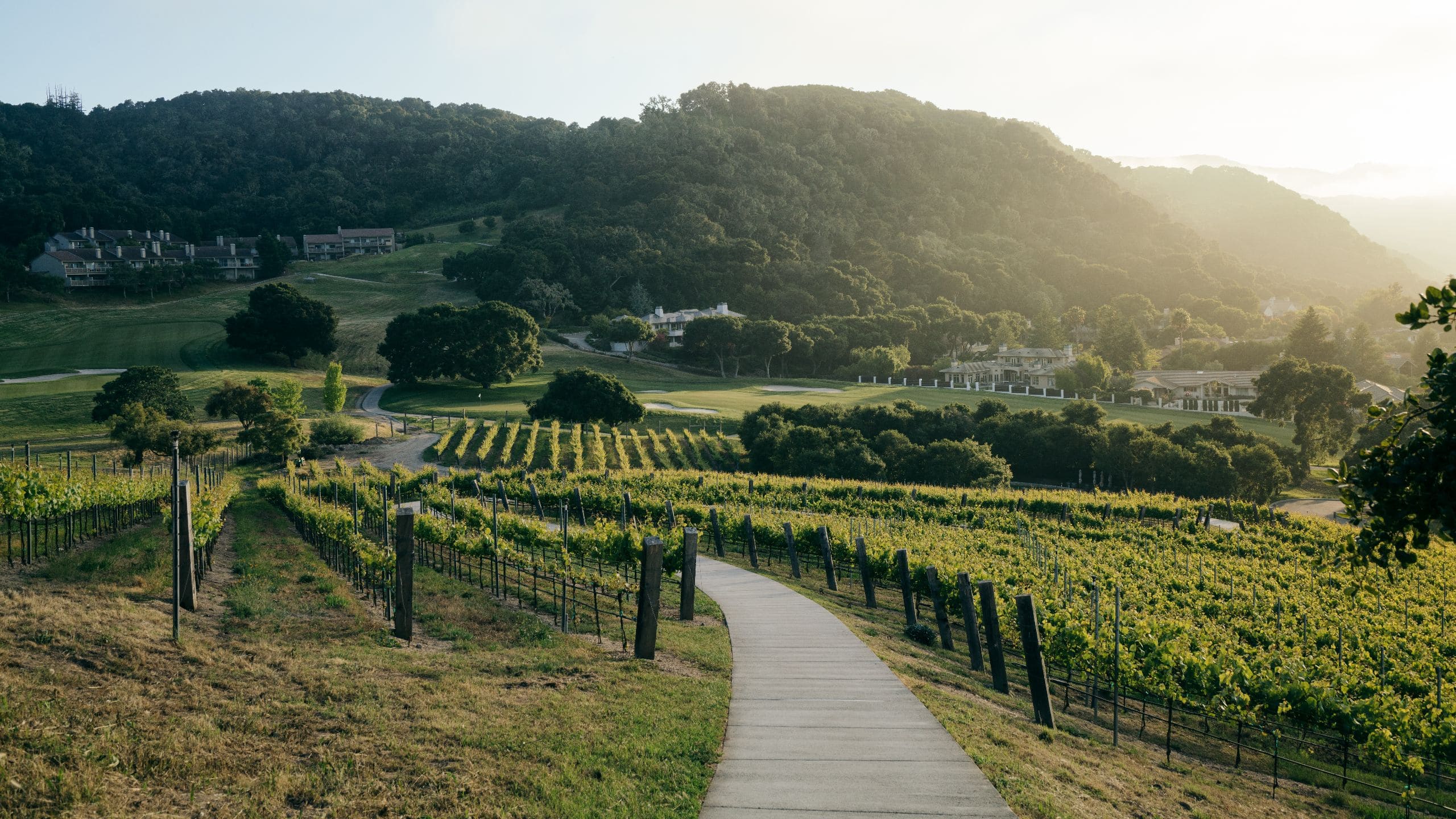 Carmel Valley Ranch Vineyard Trail