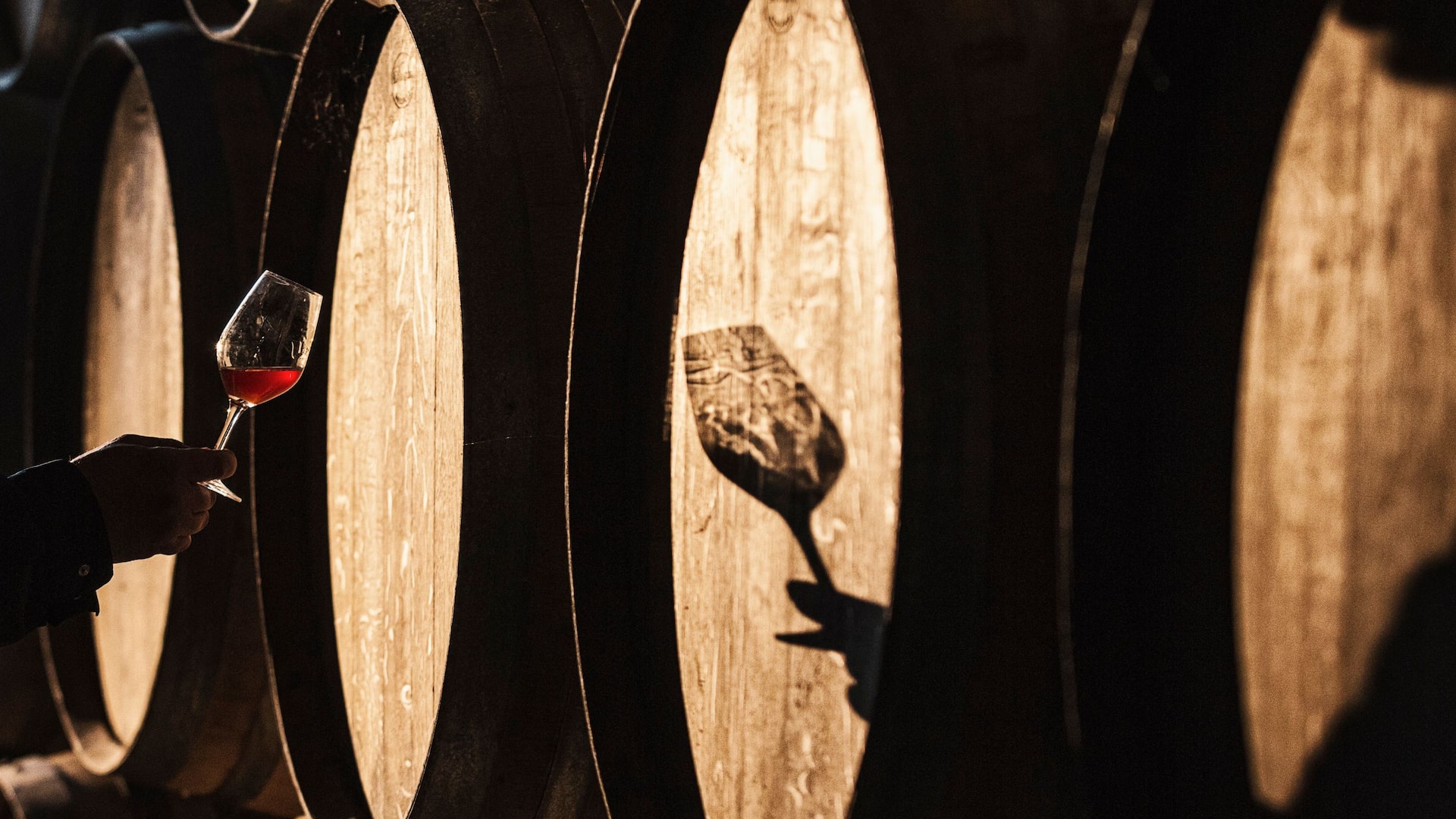 Wine glass filled with red wine is swirled in front of wine barrels