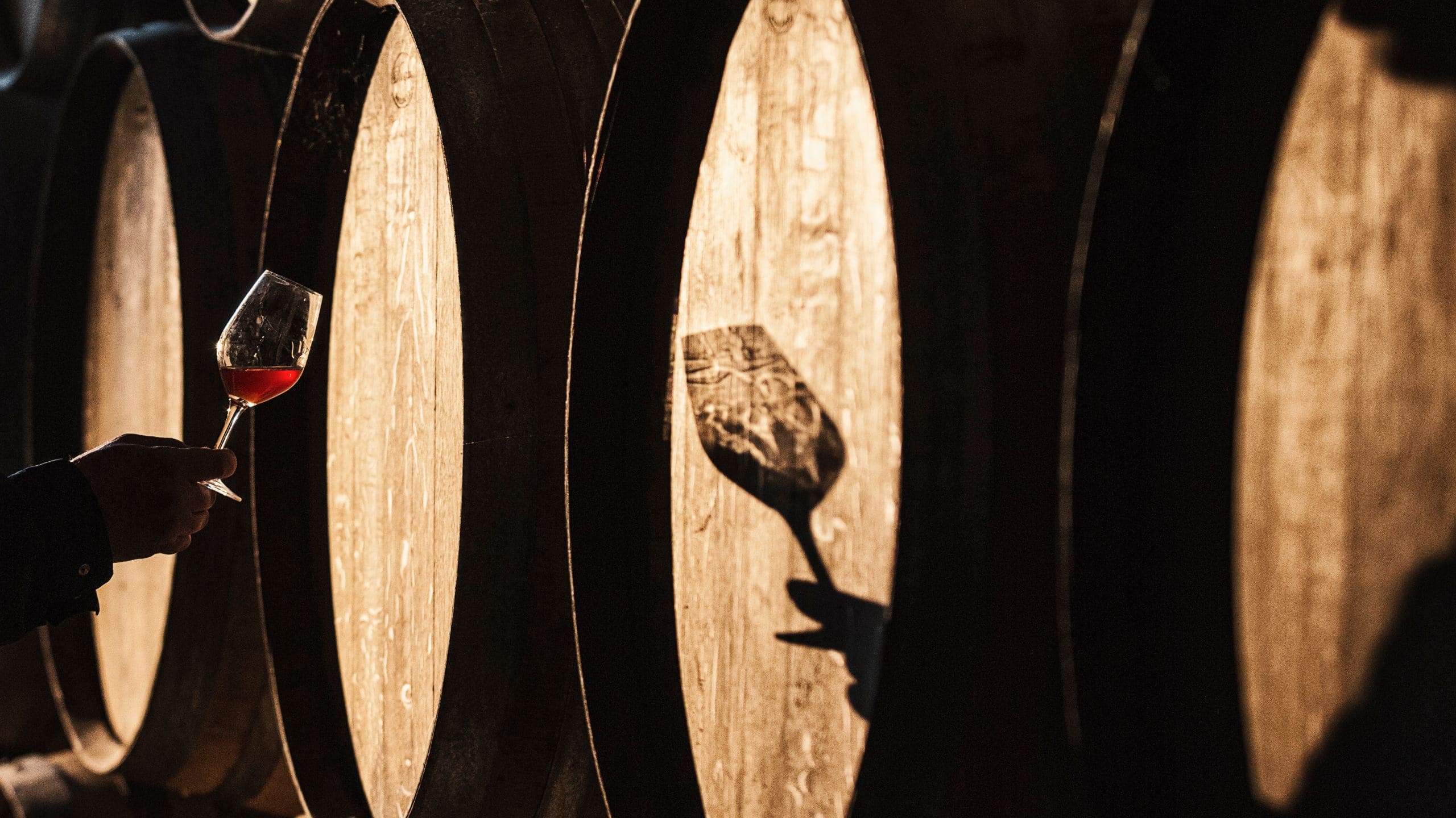 Wine glass filled with red wine is swirled in front of wine barrels