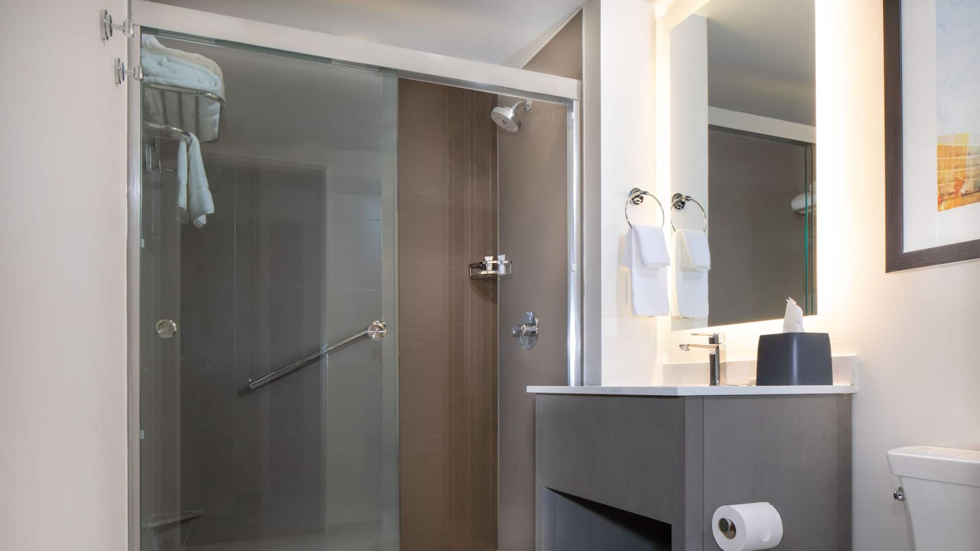 3/3 Hyatt House Lewes / Rehoboth Beach Guestroom Bathroom