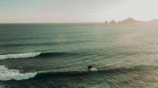 Baja Bonus: Third Night on Us