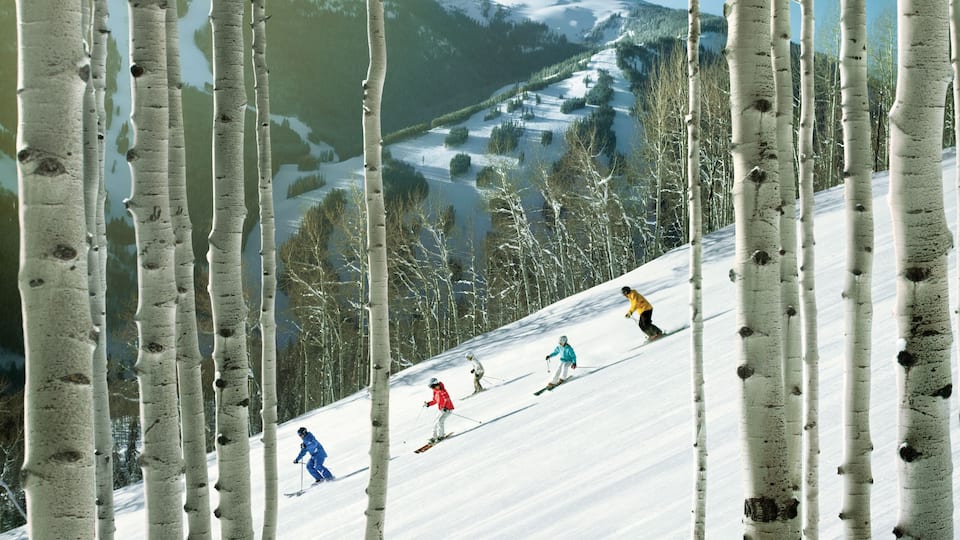 Family Skiing