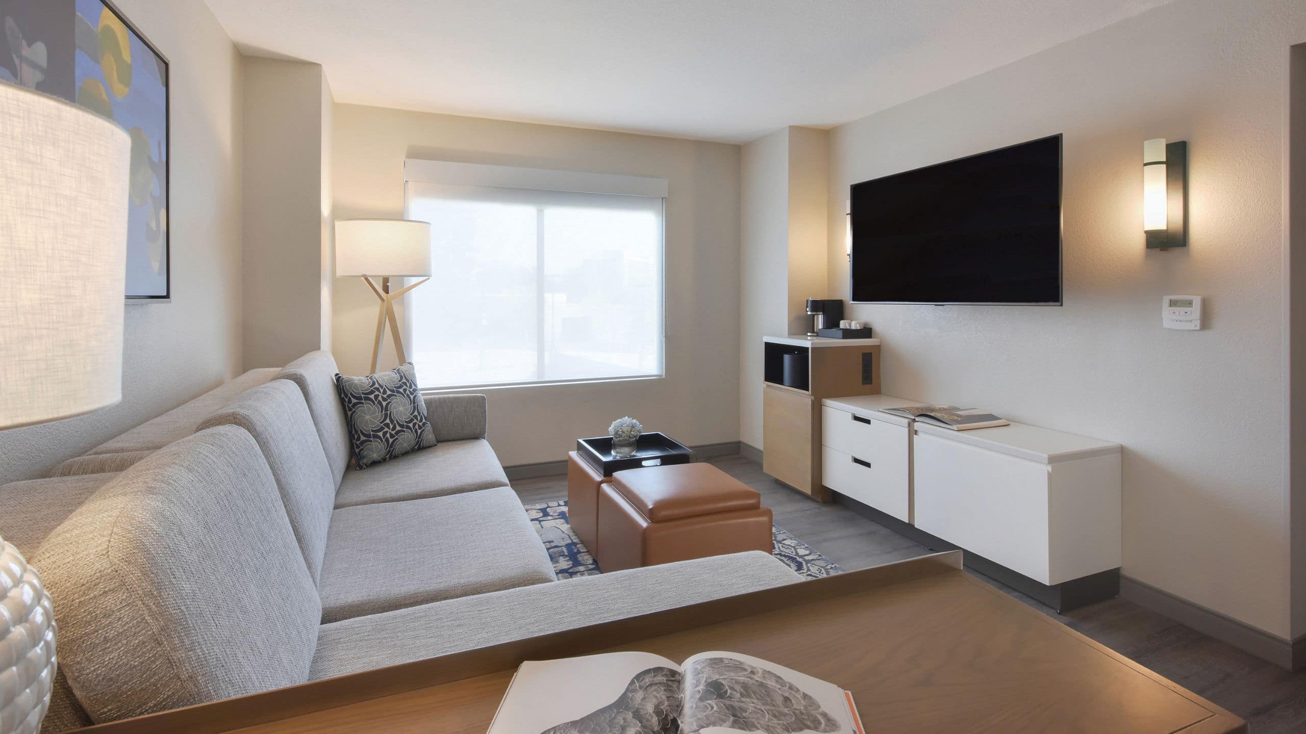 Hyatt Centric Santa Clara Silicon Valley Guestroom Living Area TV