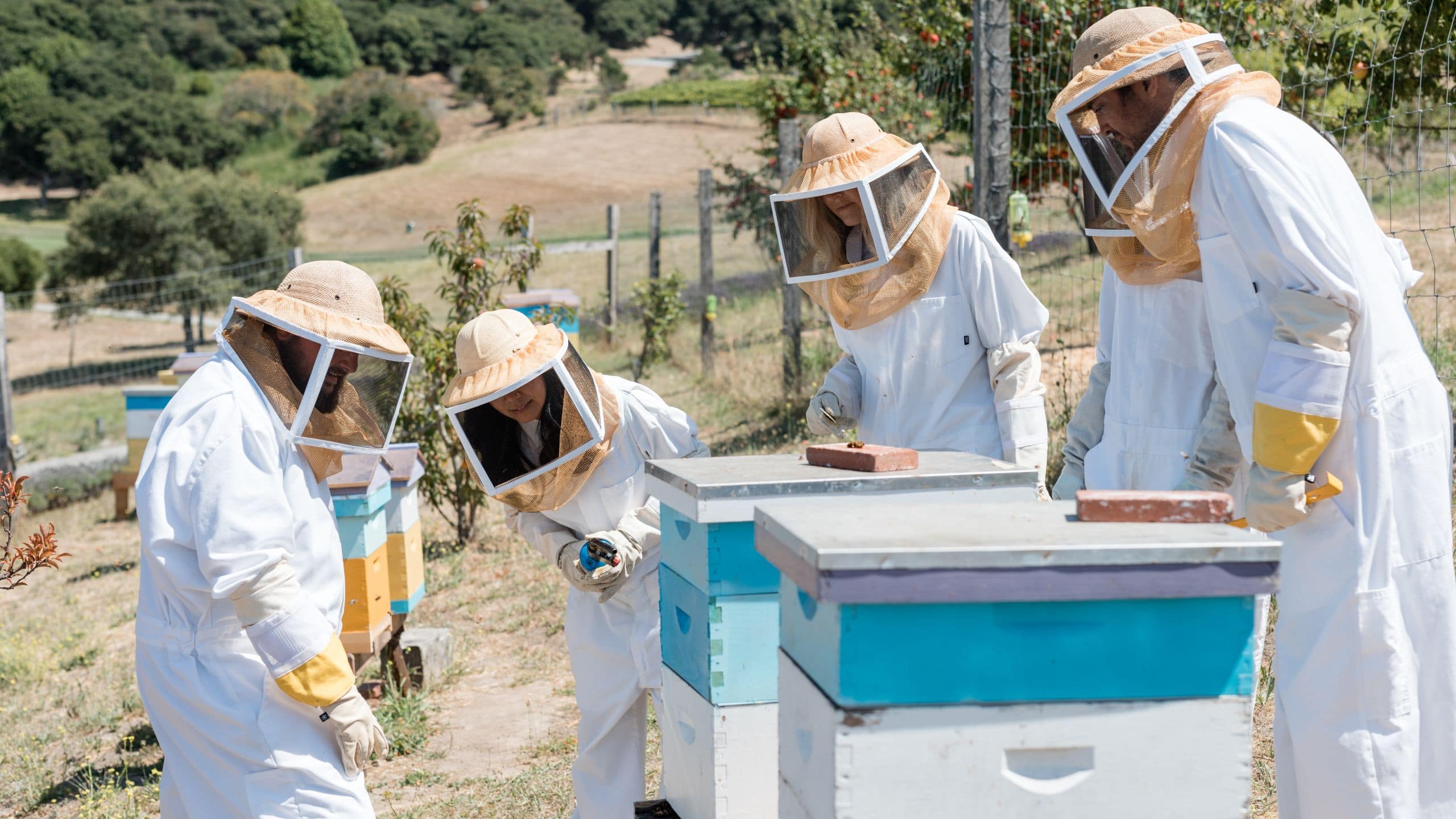 Carmel Valley Ranch Bee Experience Group