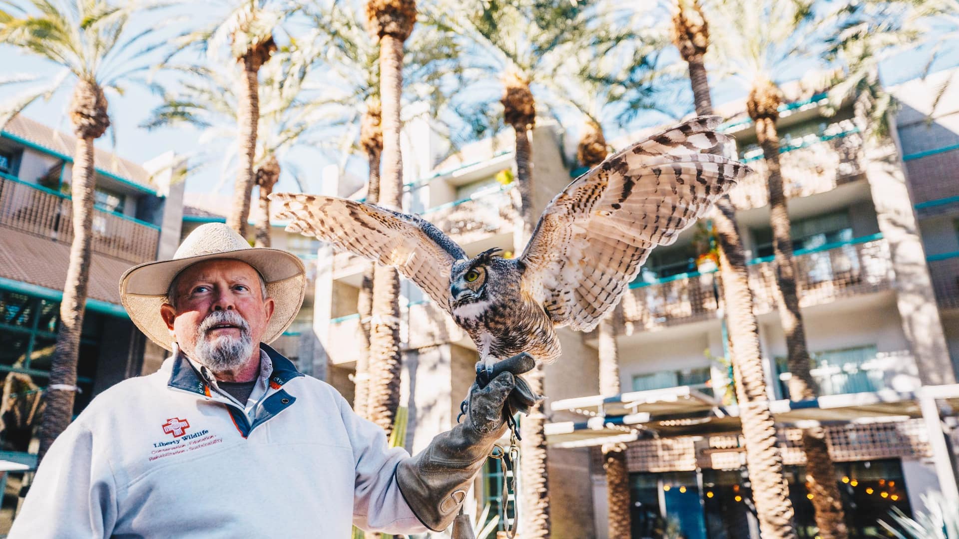 Hyatt Regency Scottsdale Resort & Spa at Gainey Ranch Birds Of Prey