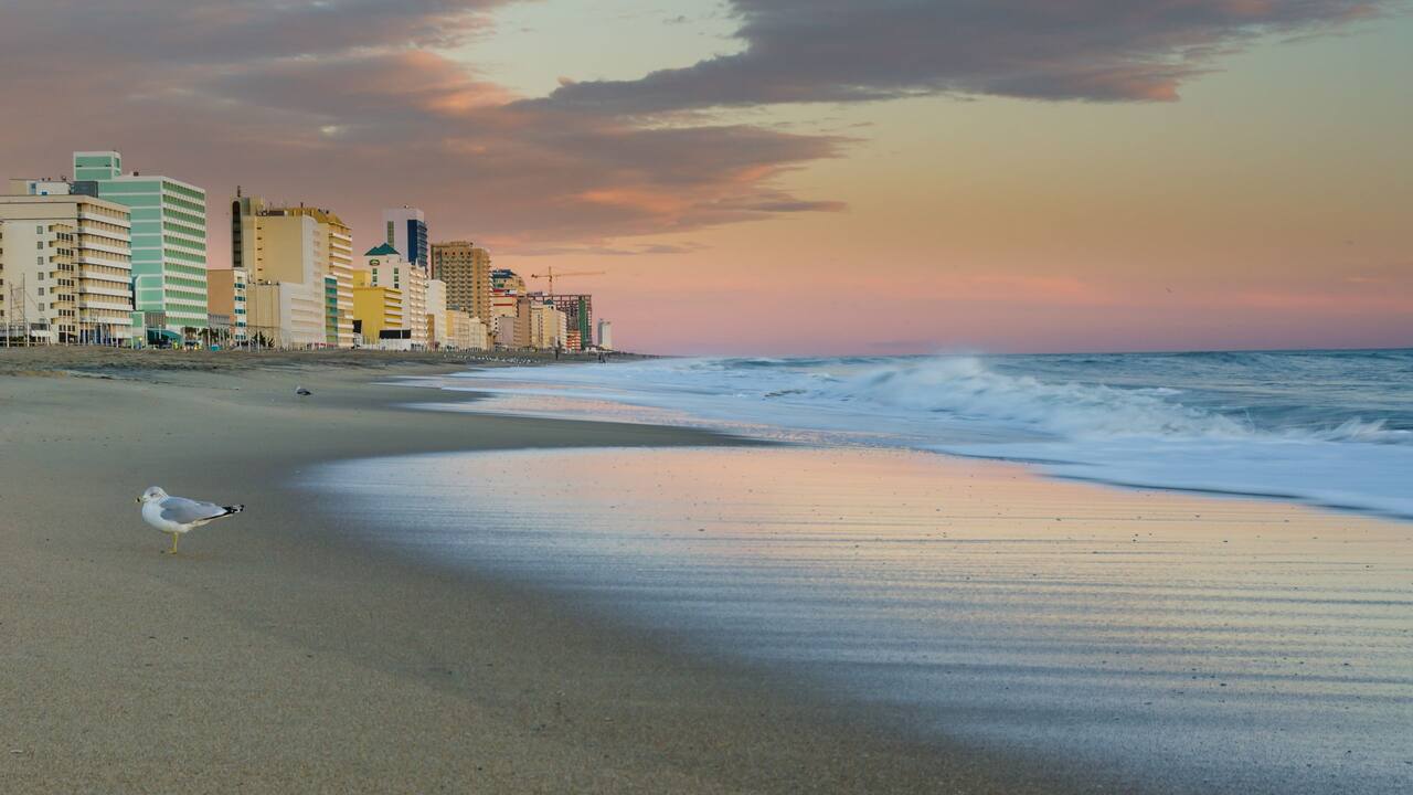 Virginia Beach Morning