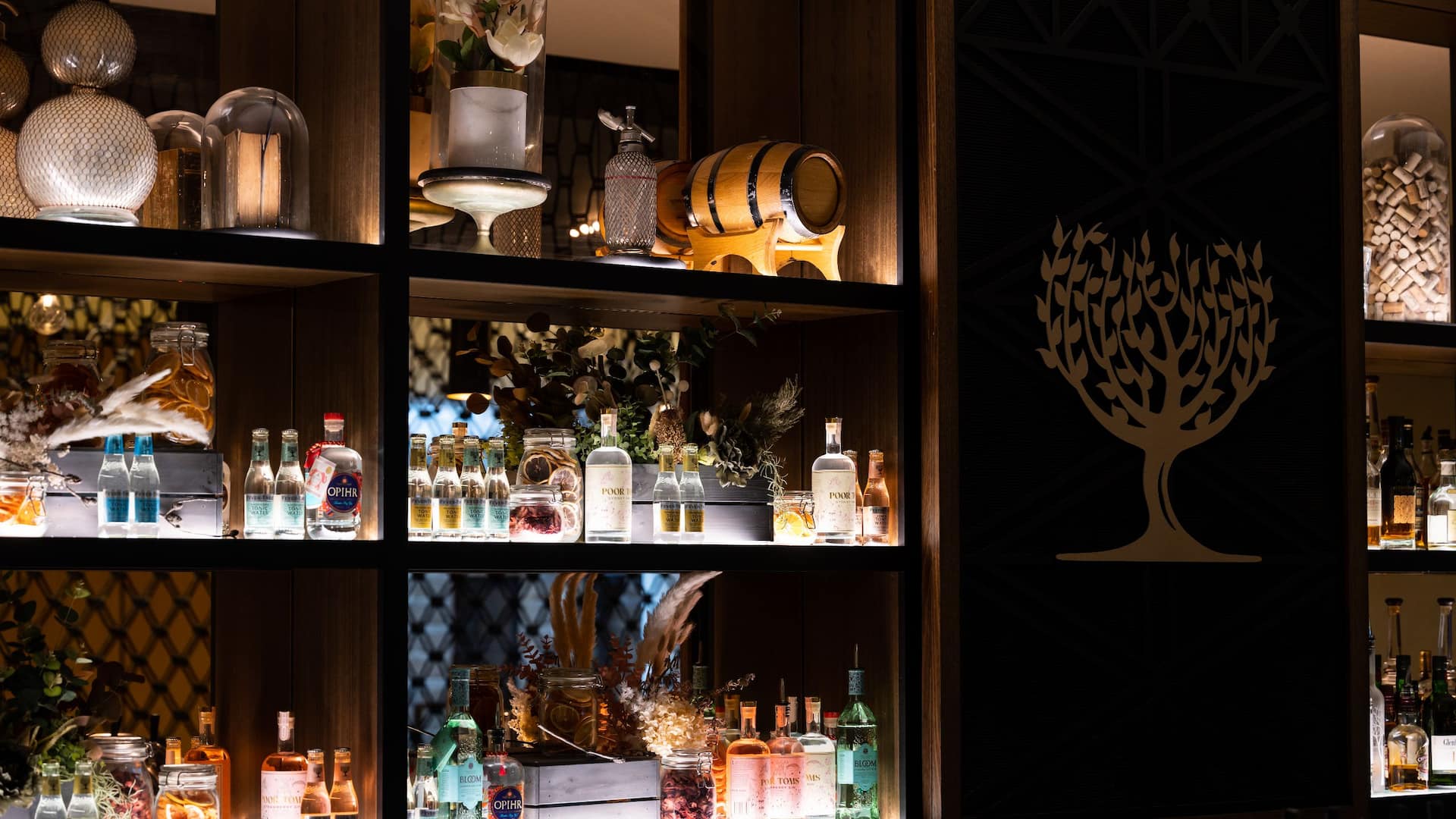Hyatt Regency Sydney Lobby Lounge Bar Shelves
