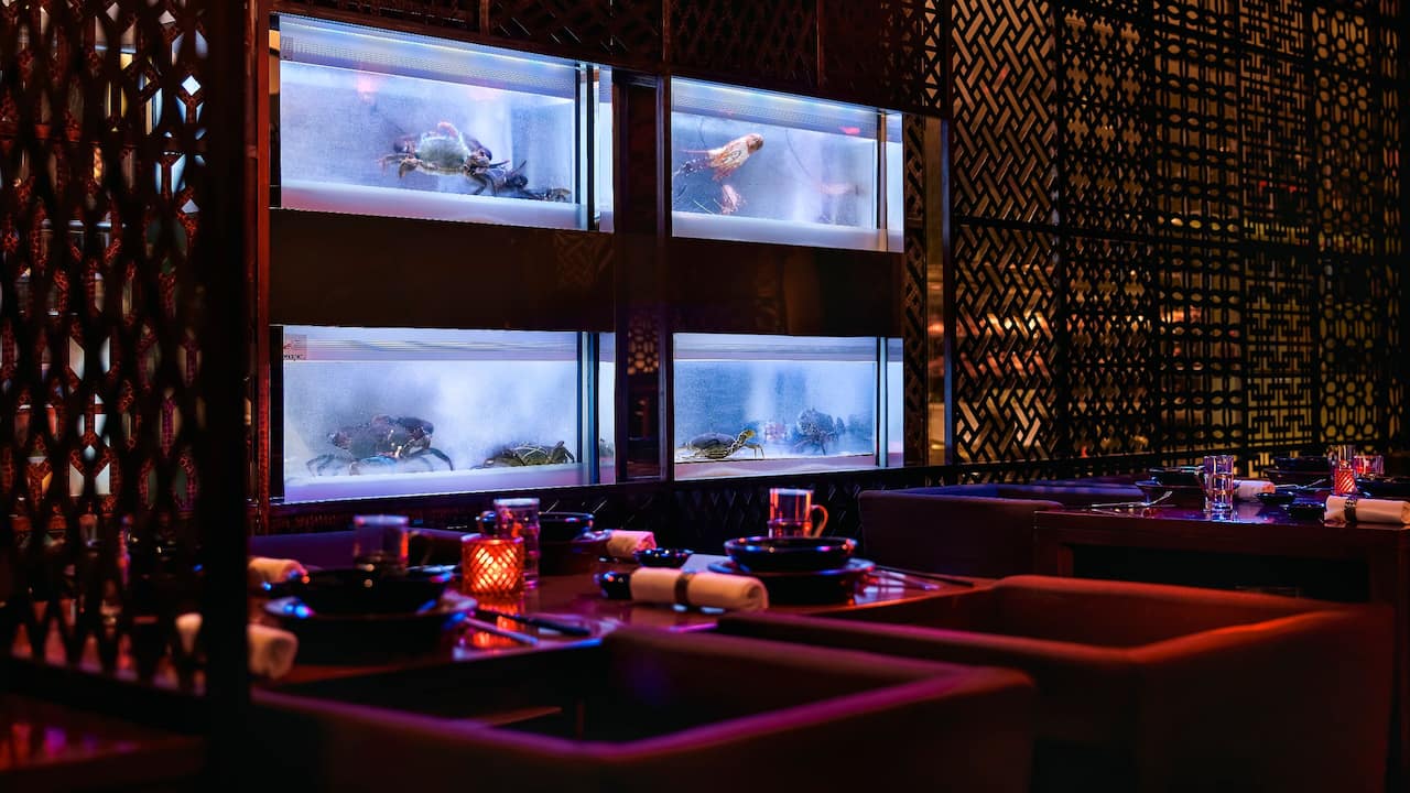 China-House-Restaurant-Grand-Hyatt-Mumbai-Sichuan-Cuisine-Aquarium