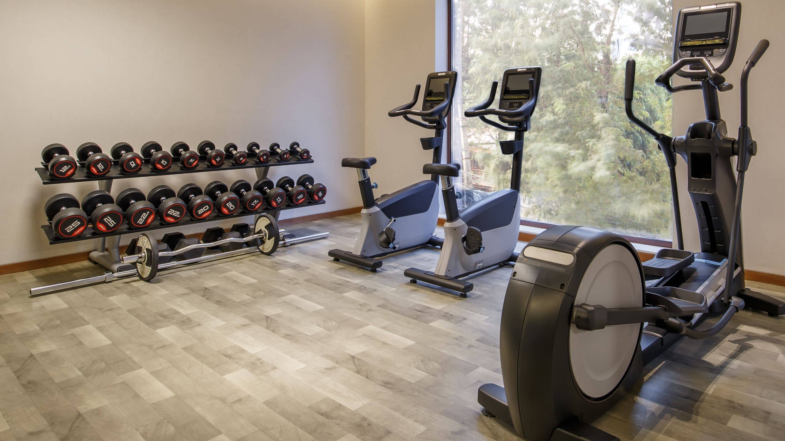 Hyatt Centric Soalteemode Kathmandu Fitness Center