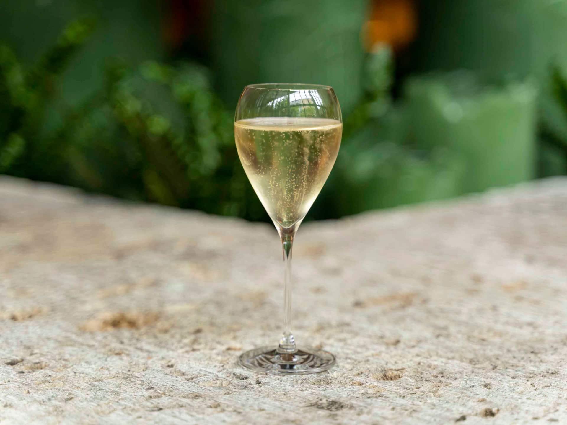 Hyatt Regency Hakone Resort and Spa Living Room Champagne Glass