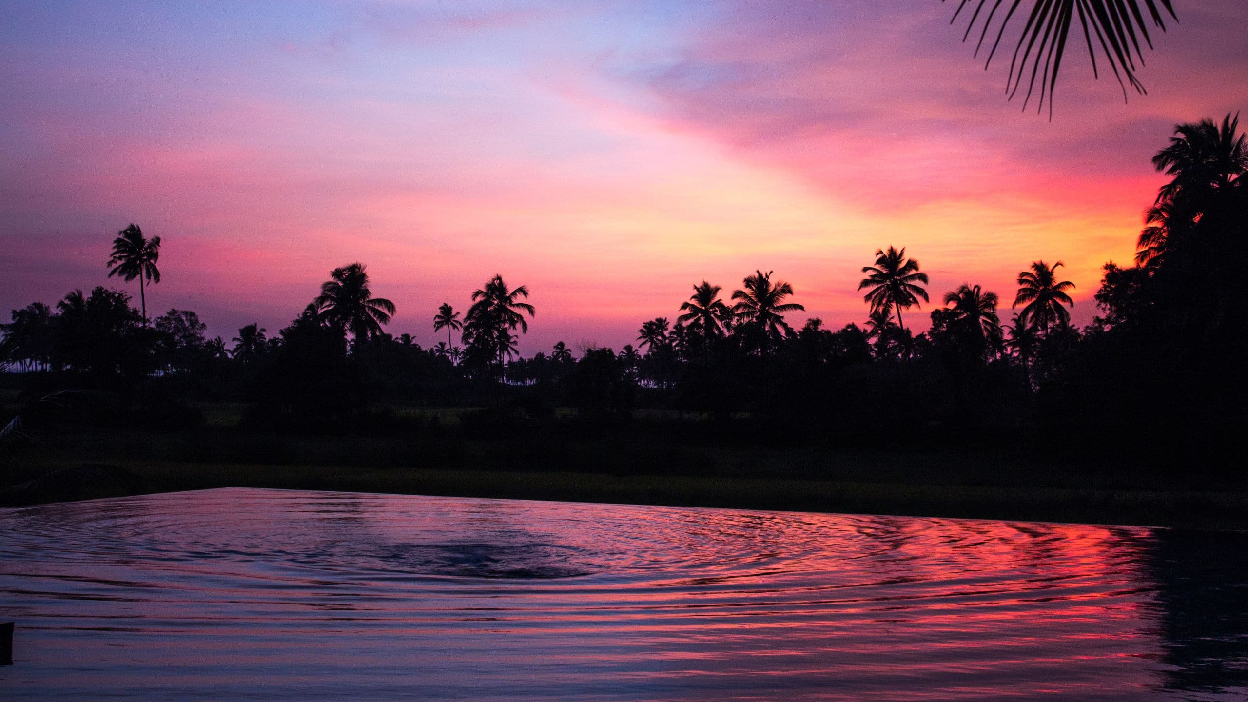 Alila Diwa Goa Infinity Pool Sunset Evening