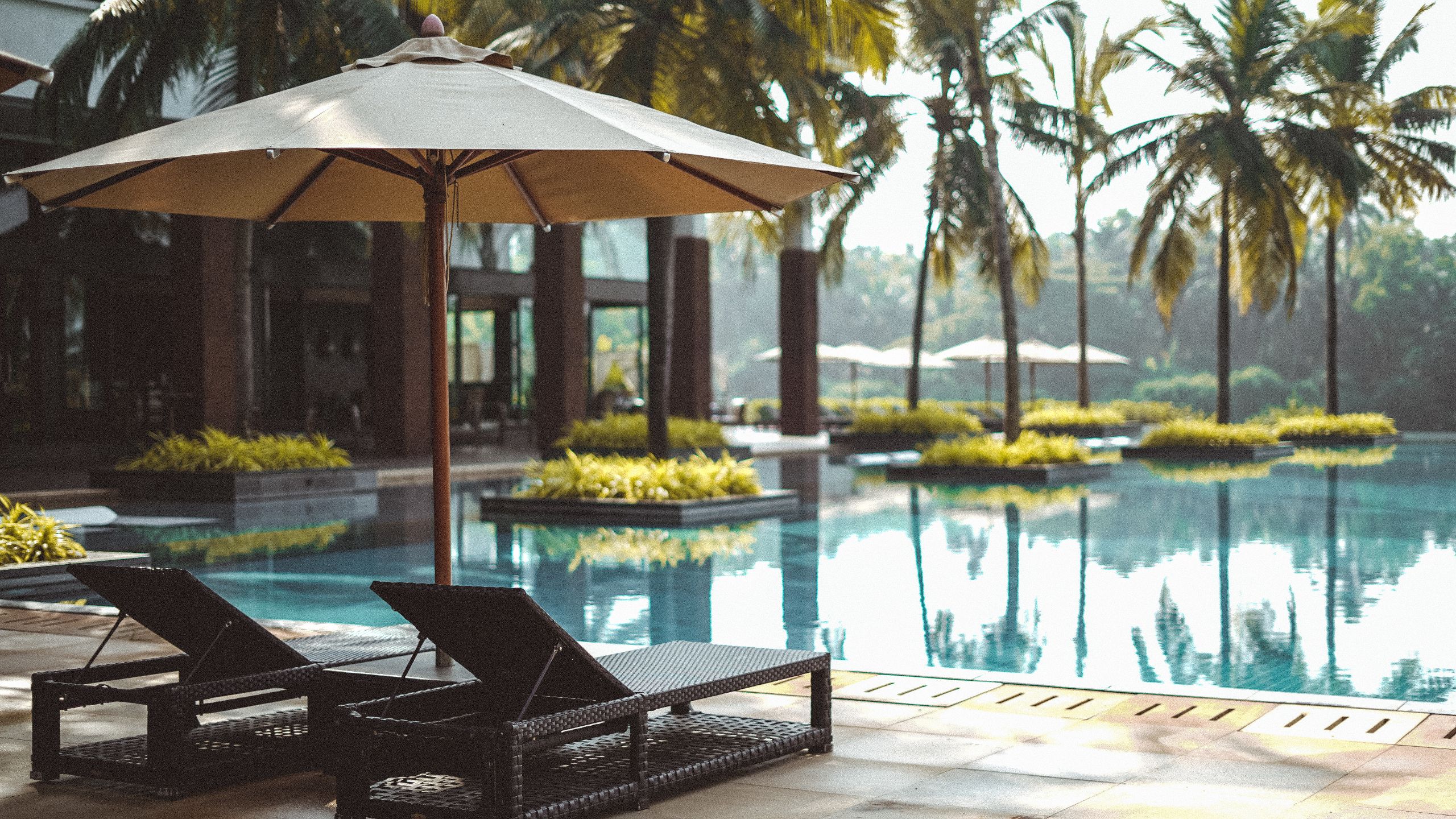 Alila Diwa Goa Infinity Pool Deck Chairs Trees