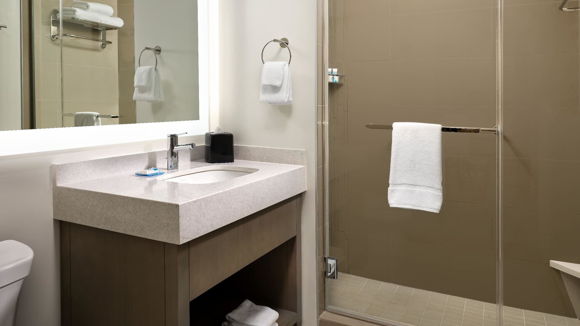 Hyatt House LA - University Medical Center Guestroom Bathroom Sink