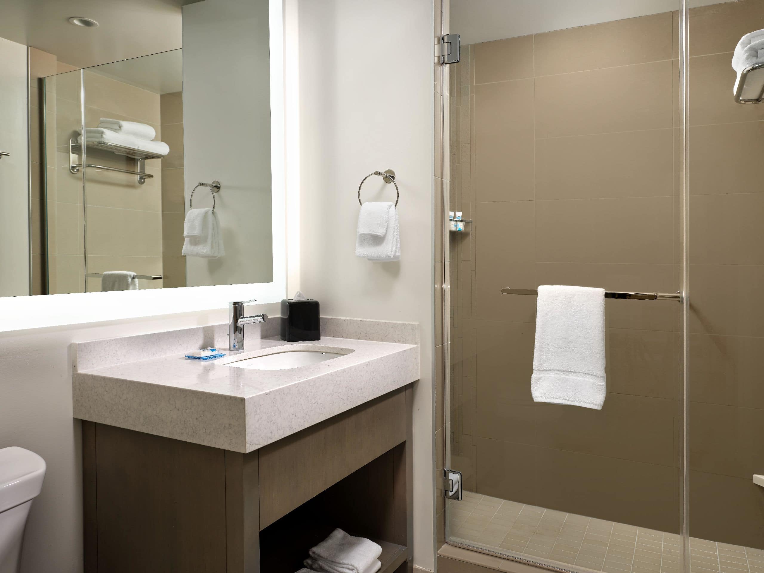 https://assets.hyatt.com/content/dam/hyatt/hyattdam/images/2022/05/24/0943/LAXXU-P0013-Guestroom-Bathroom-Sink.jpg/LAXXU-P0013-Guestroom-Bathroom-Sink.4x3.jpg