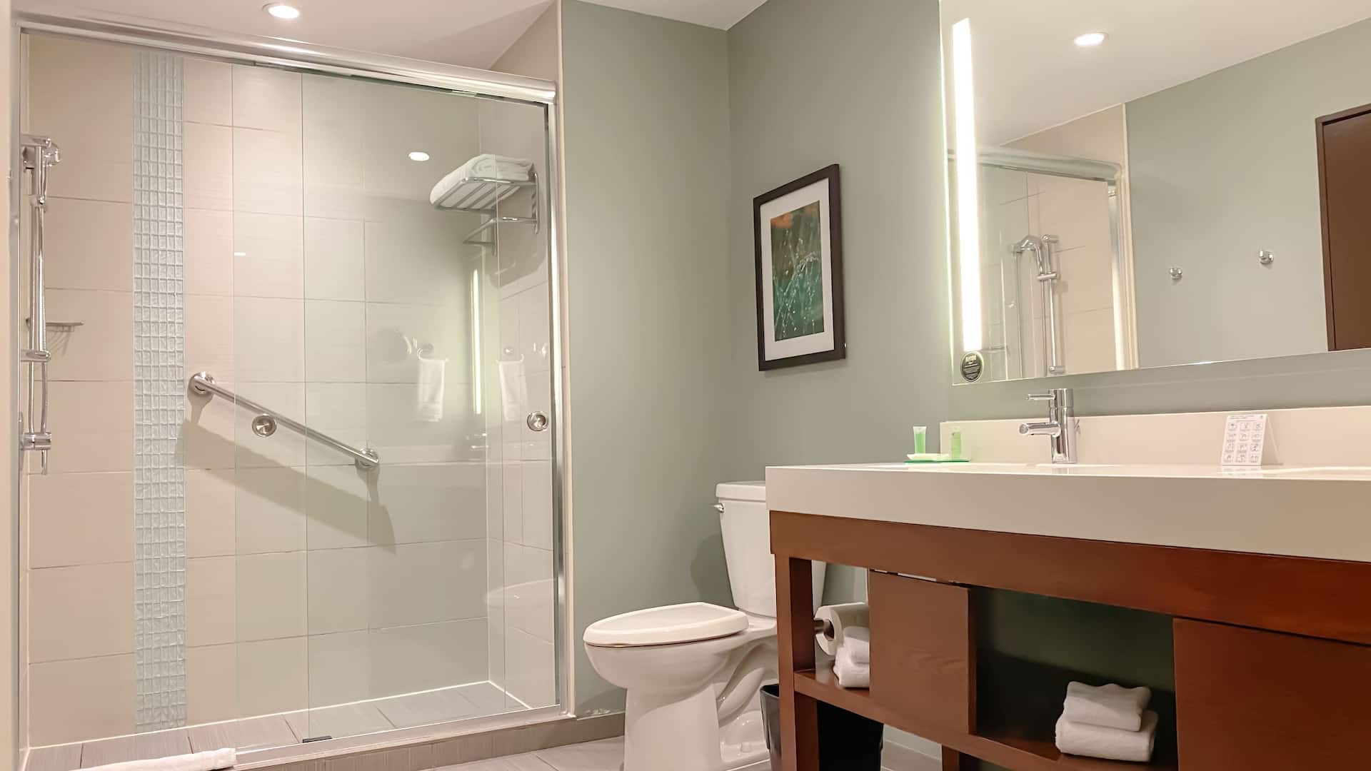 5 из 5 Hyatt Place San Jose/Pinares Suite Bathroom Shower