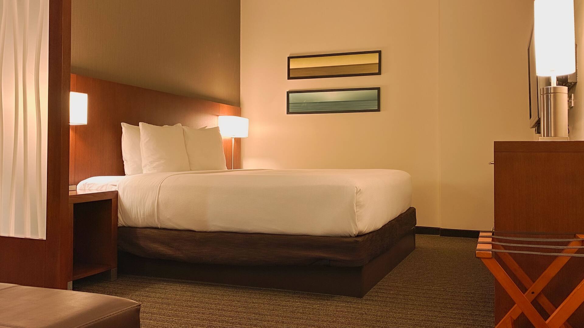 Hyatt Place San Jose/Pinares King Bedroom