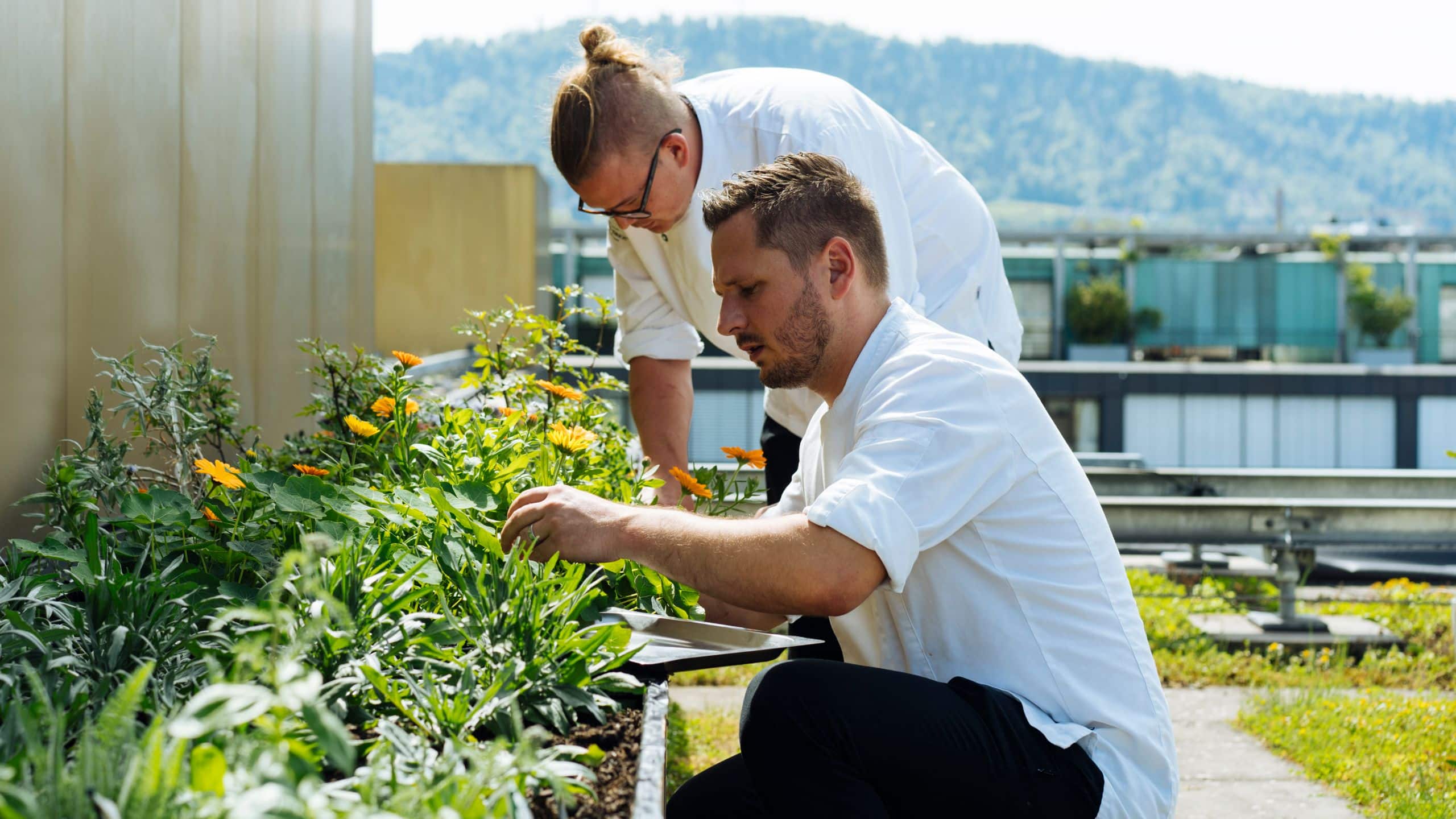 Park Hyatt Zurich Rooftop Herb Garden