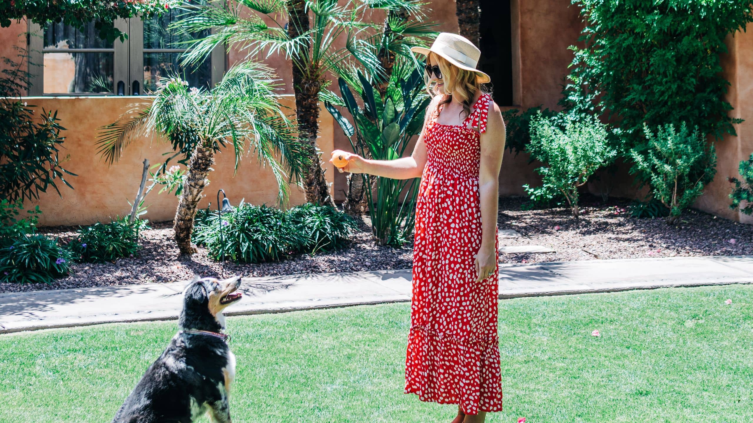 Royal Palms Resort and Spa Dog Playing Outside