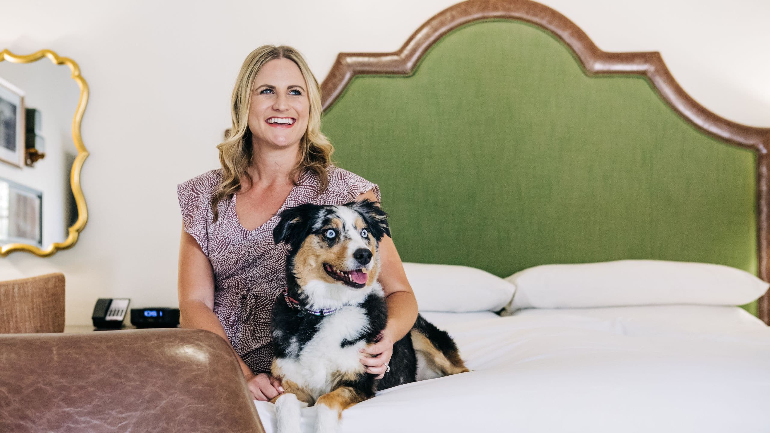 Royal Palms Resort and Spa Guestroom Dog Laying Bed