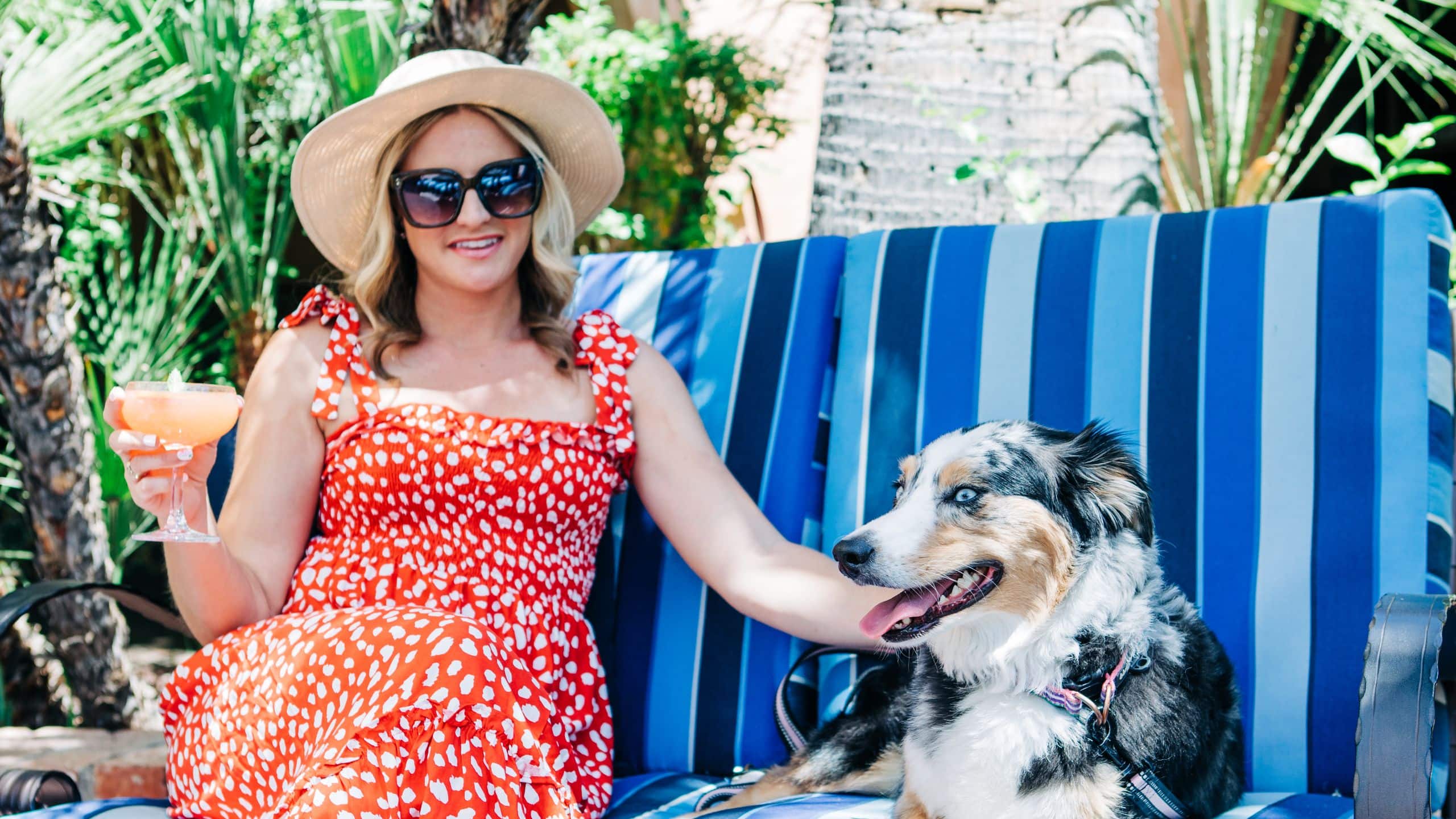Royal Palms Resort and Spa Mansion Courtyard Dog Laying Seating