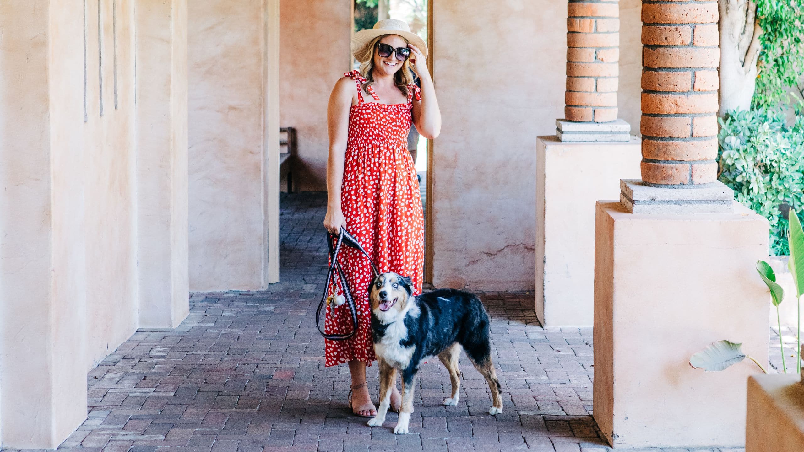 Royal Palms Resort and Spa Guest Dog Outside