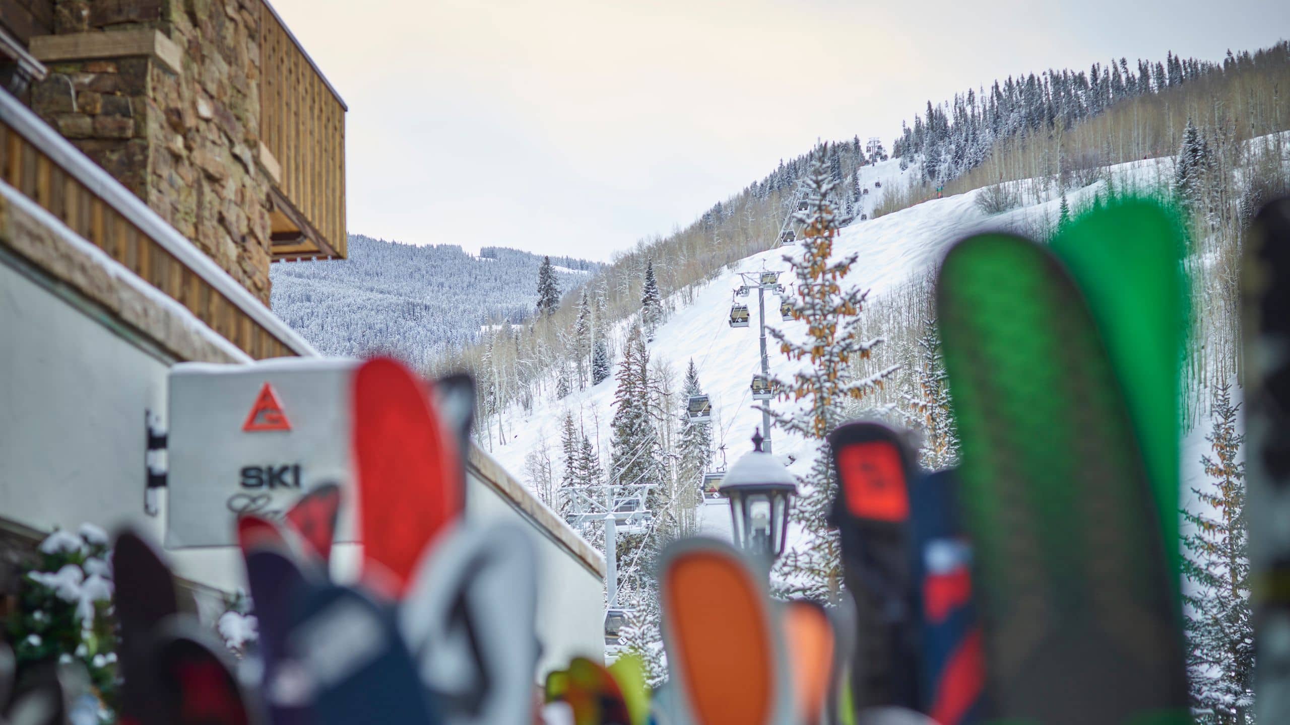 Austria Haus Skis