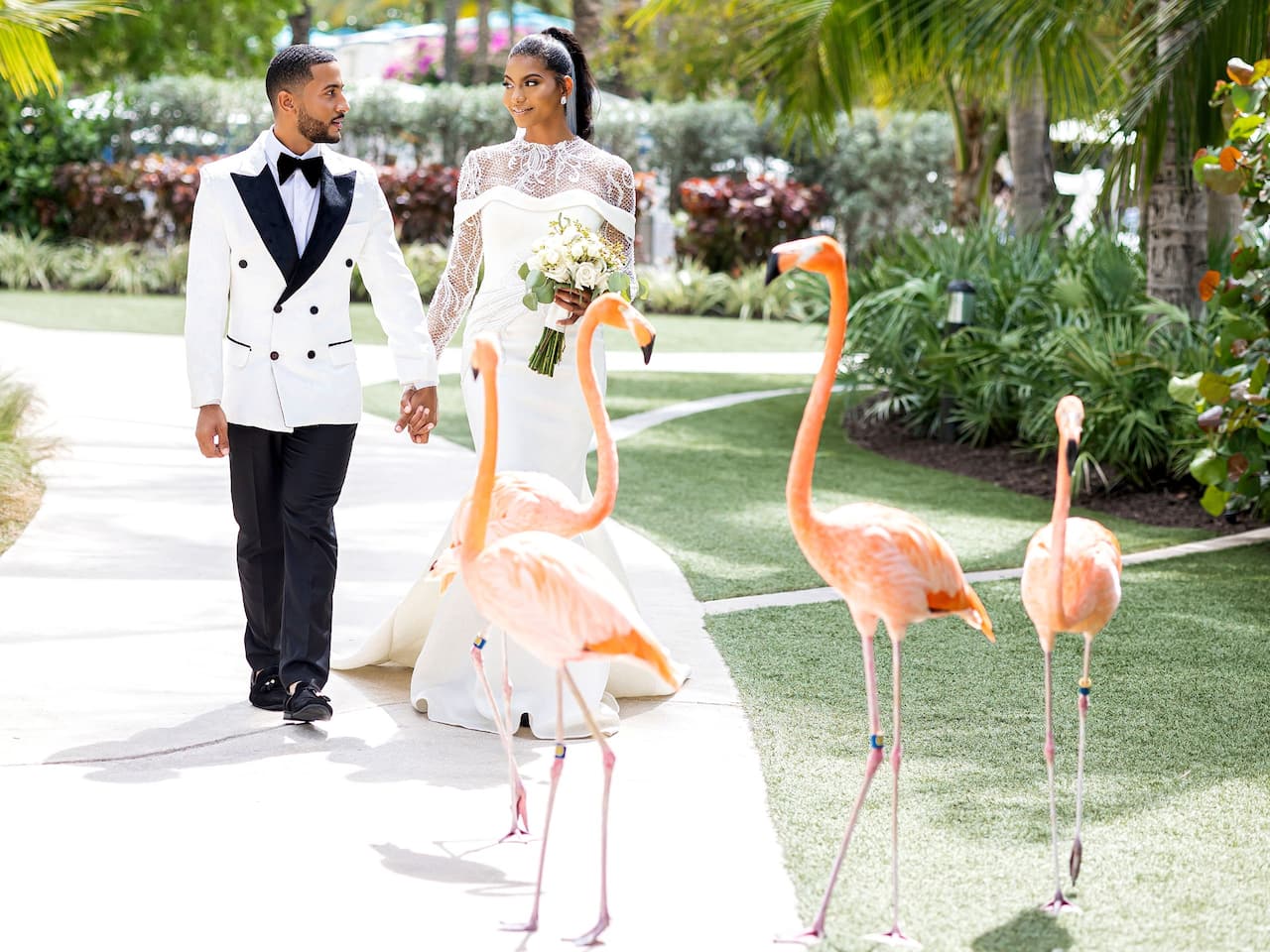 Wedding Bride Groom Flamingoes
